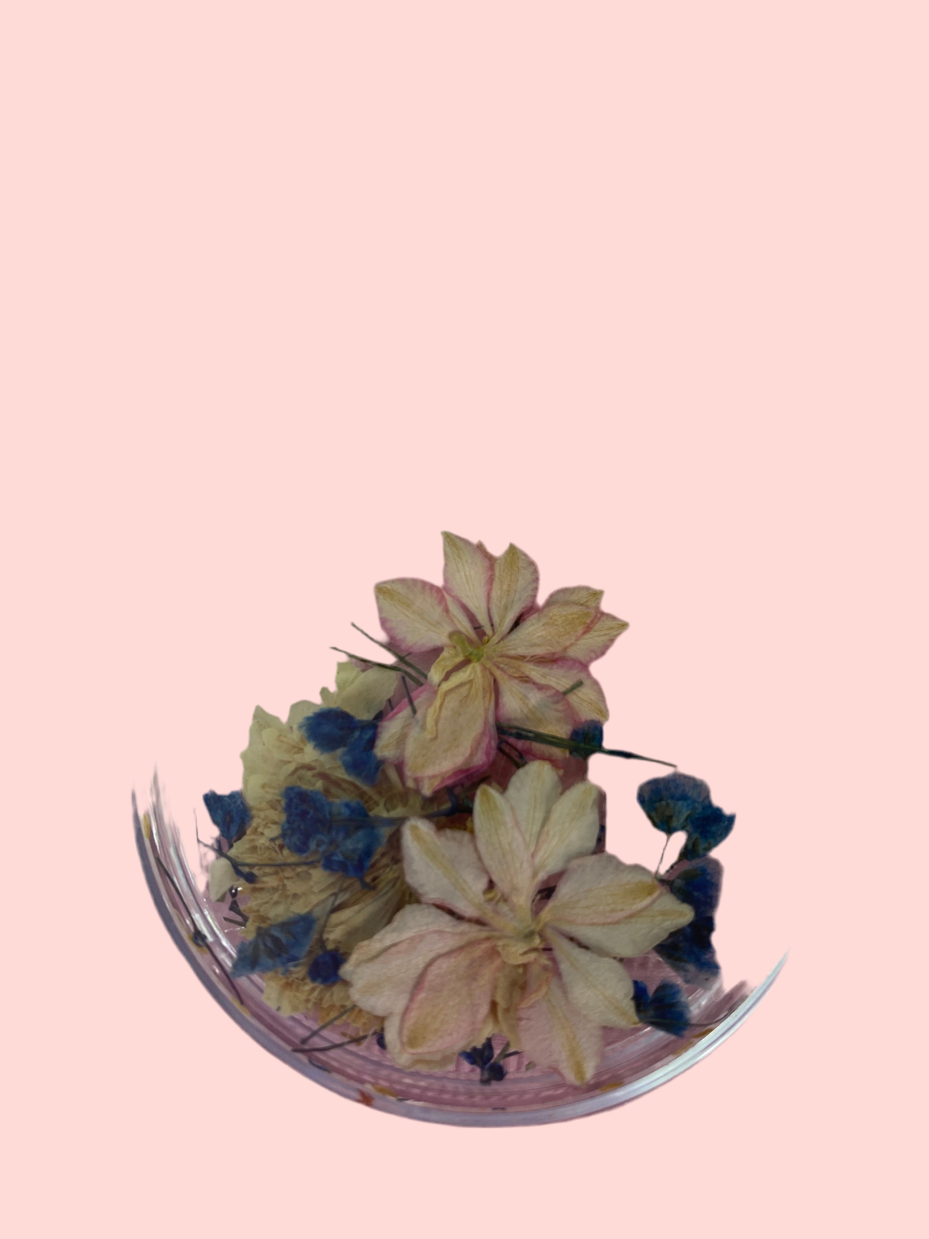 Dry Flowers | Set of 53 Colors