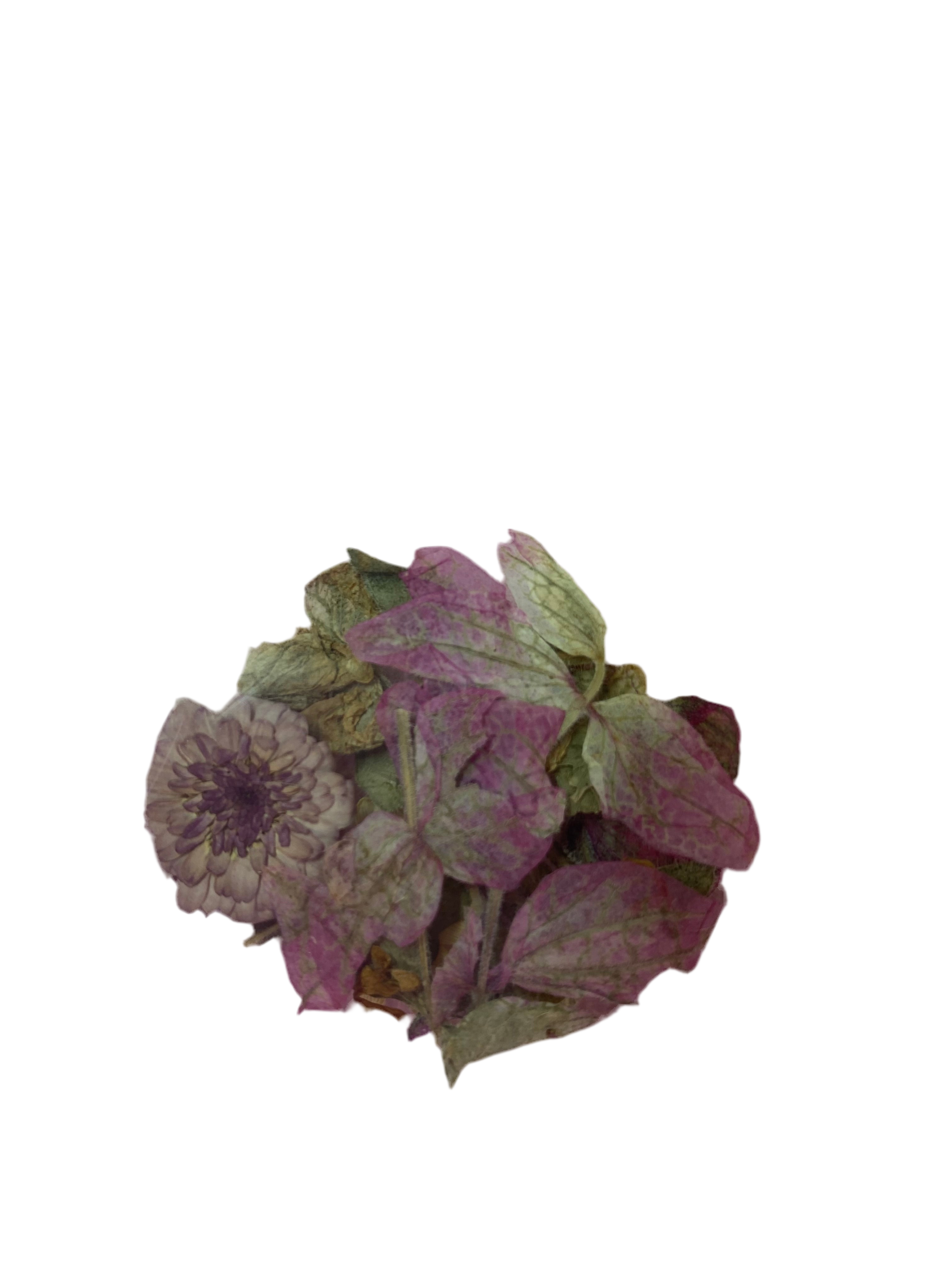 Dry Flowers | Set of 53 Colors