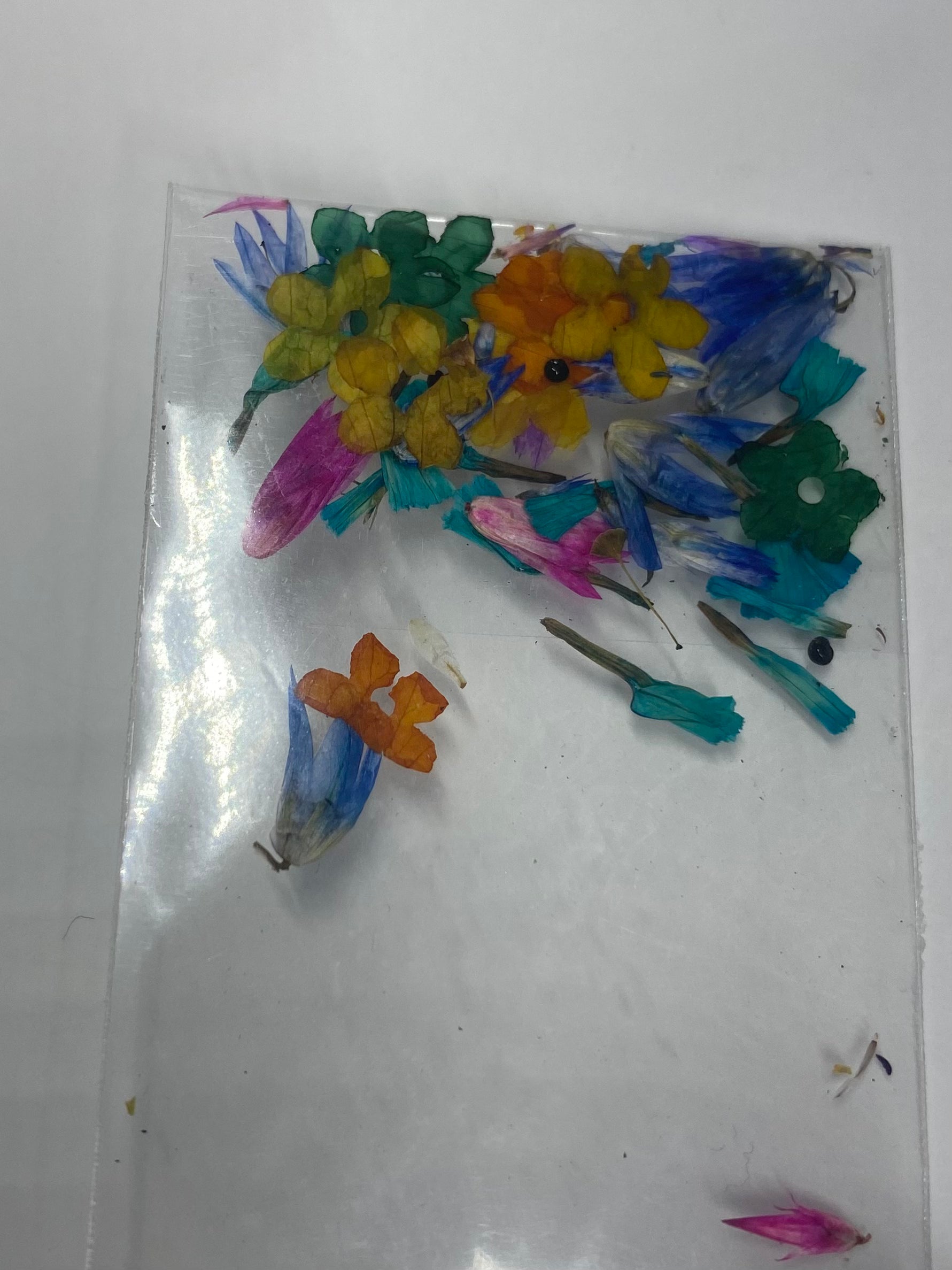 Dry Flowers | Set of 53 Colors