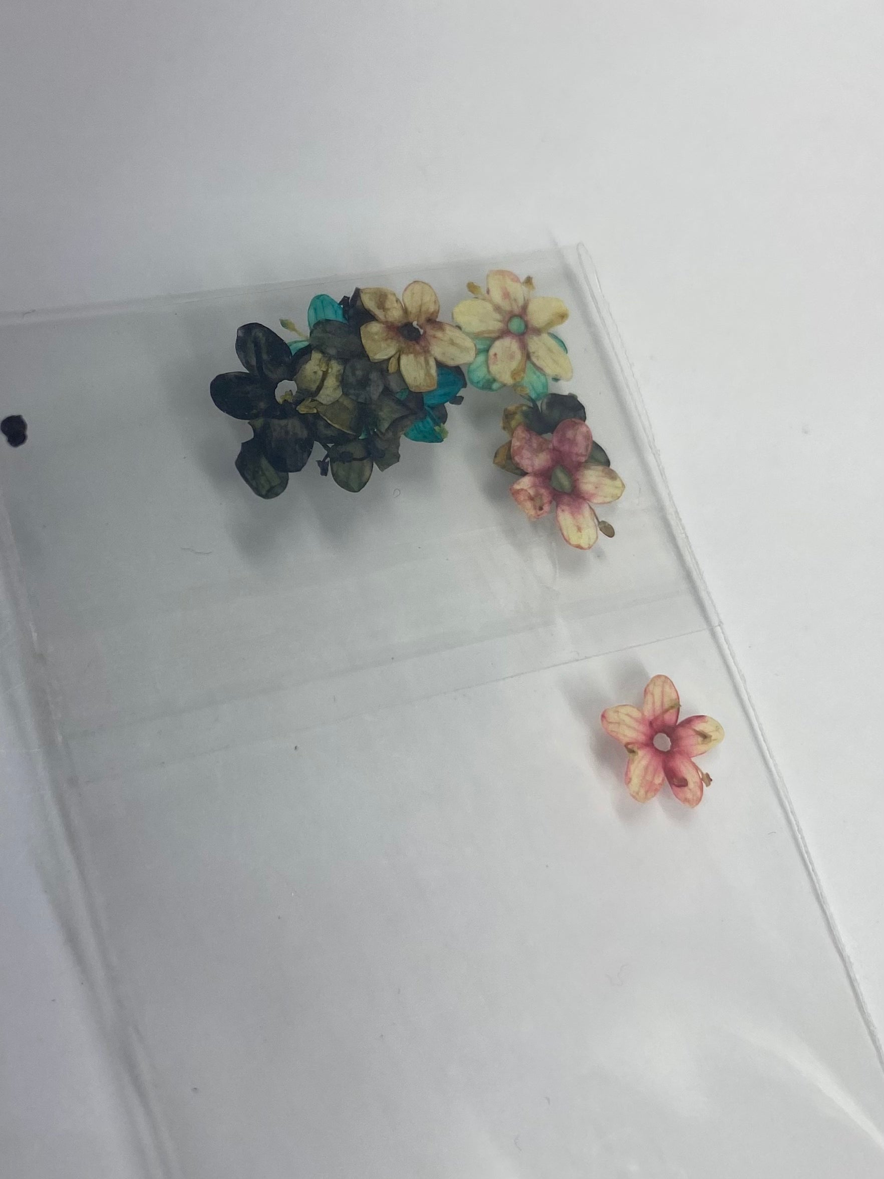 Dry Flowers | Set of 53 Colors