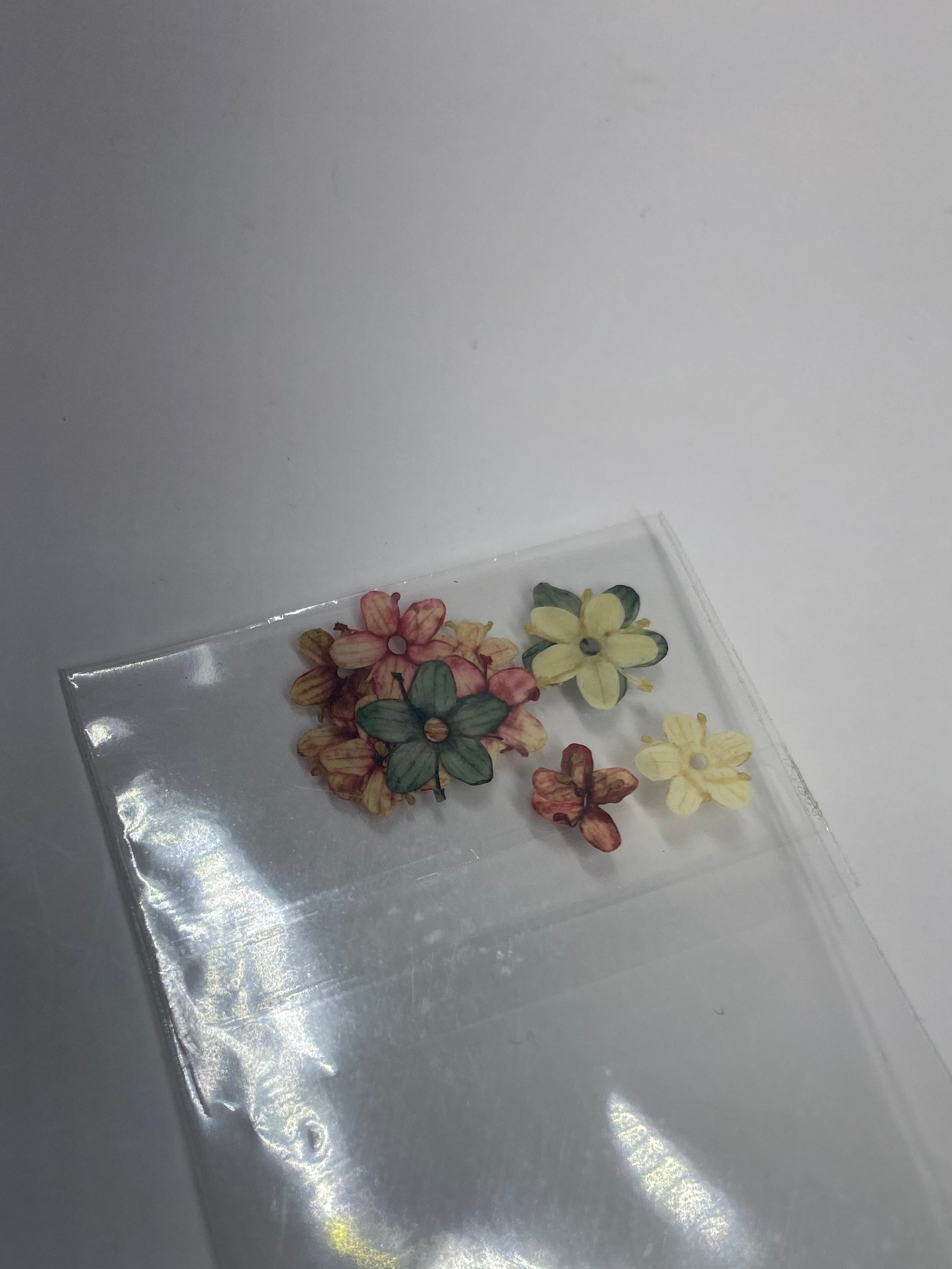 Dry Flowers | Set of 53 Colors