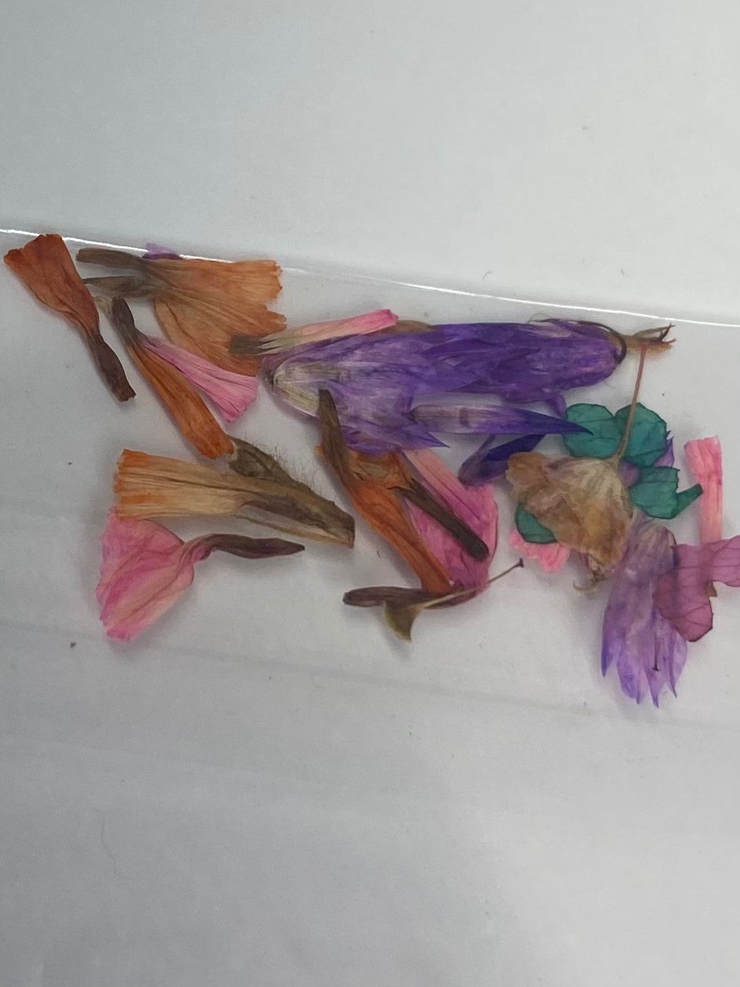 Dry Flowers | Set of 53 Colors