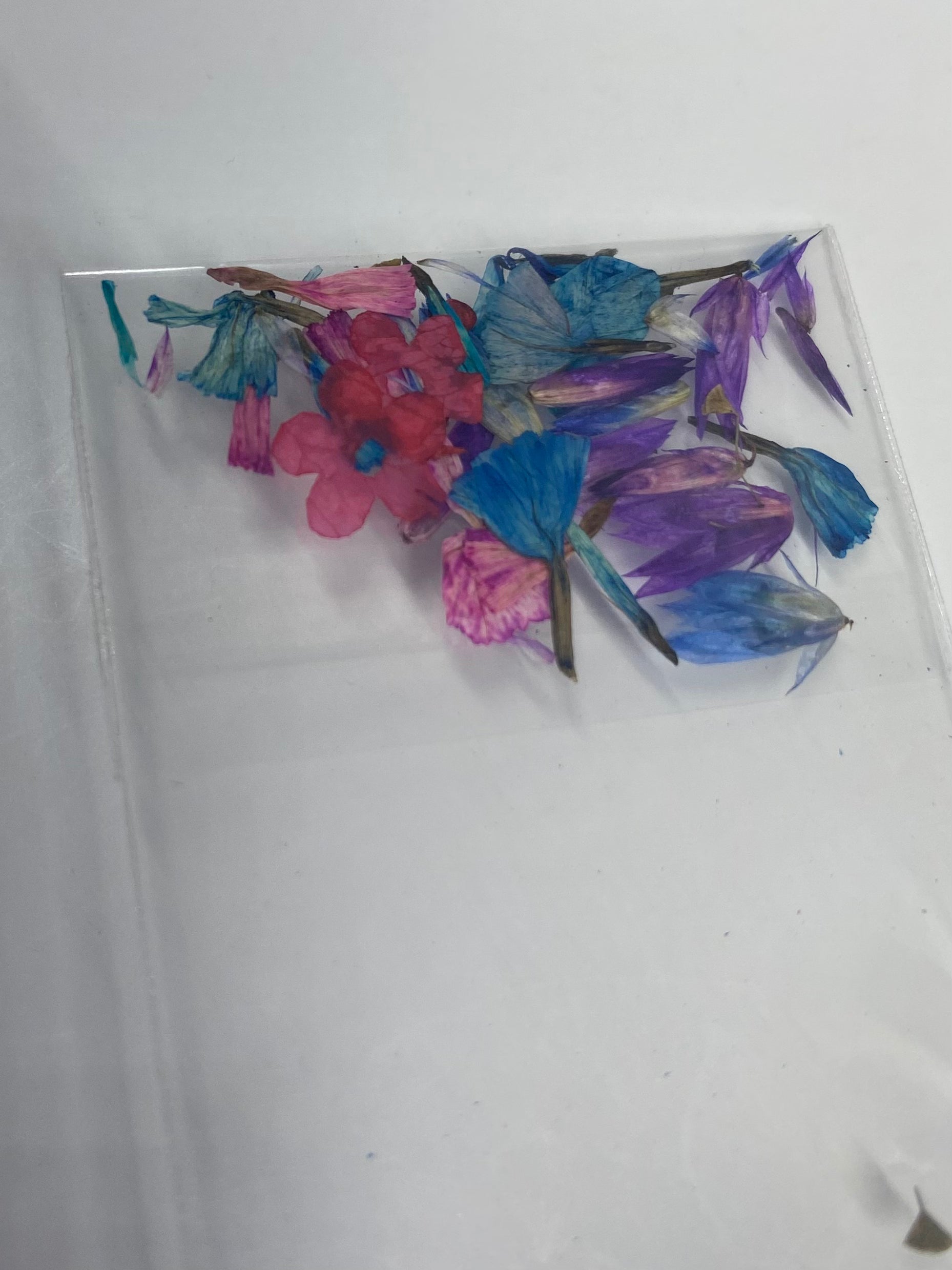 Dry Flowers | Set of 53 Colors
