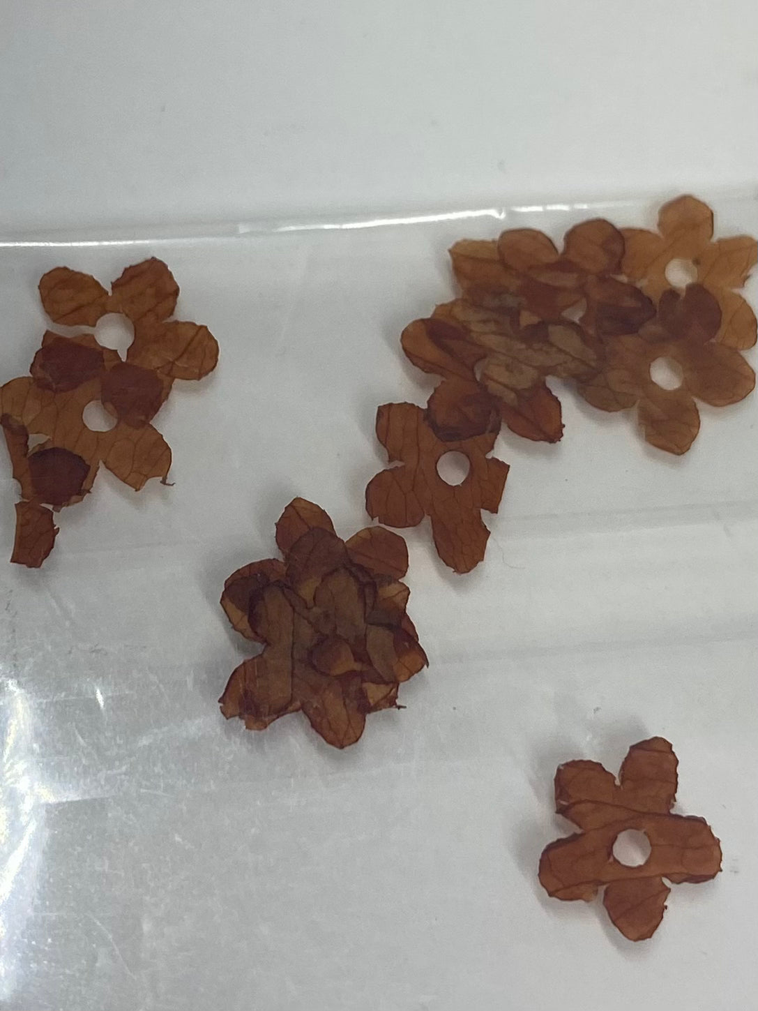 Dry Flowers | Set of 53 Colors