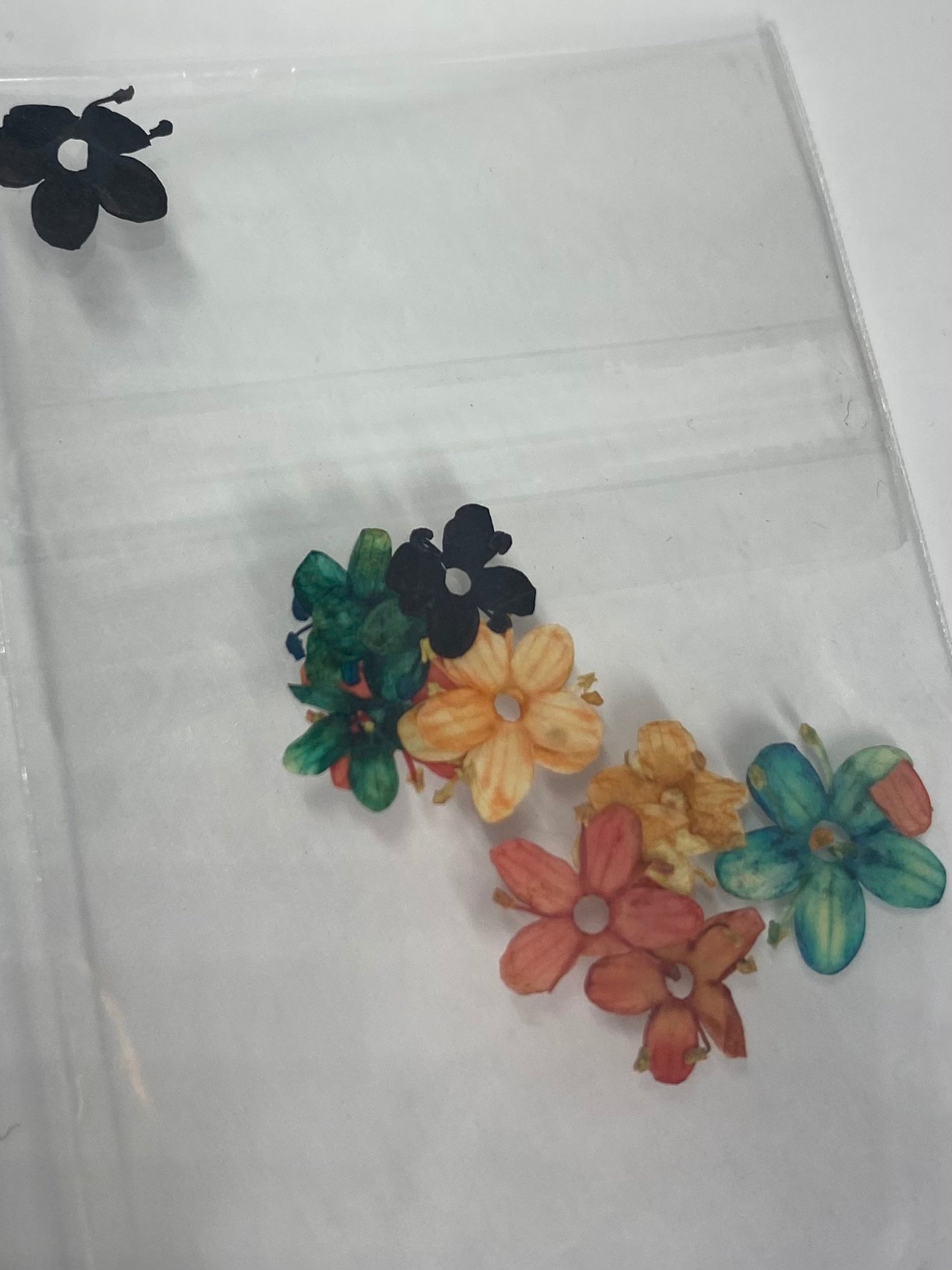 Dry Flowers | Set of 53 Colors