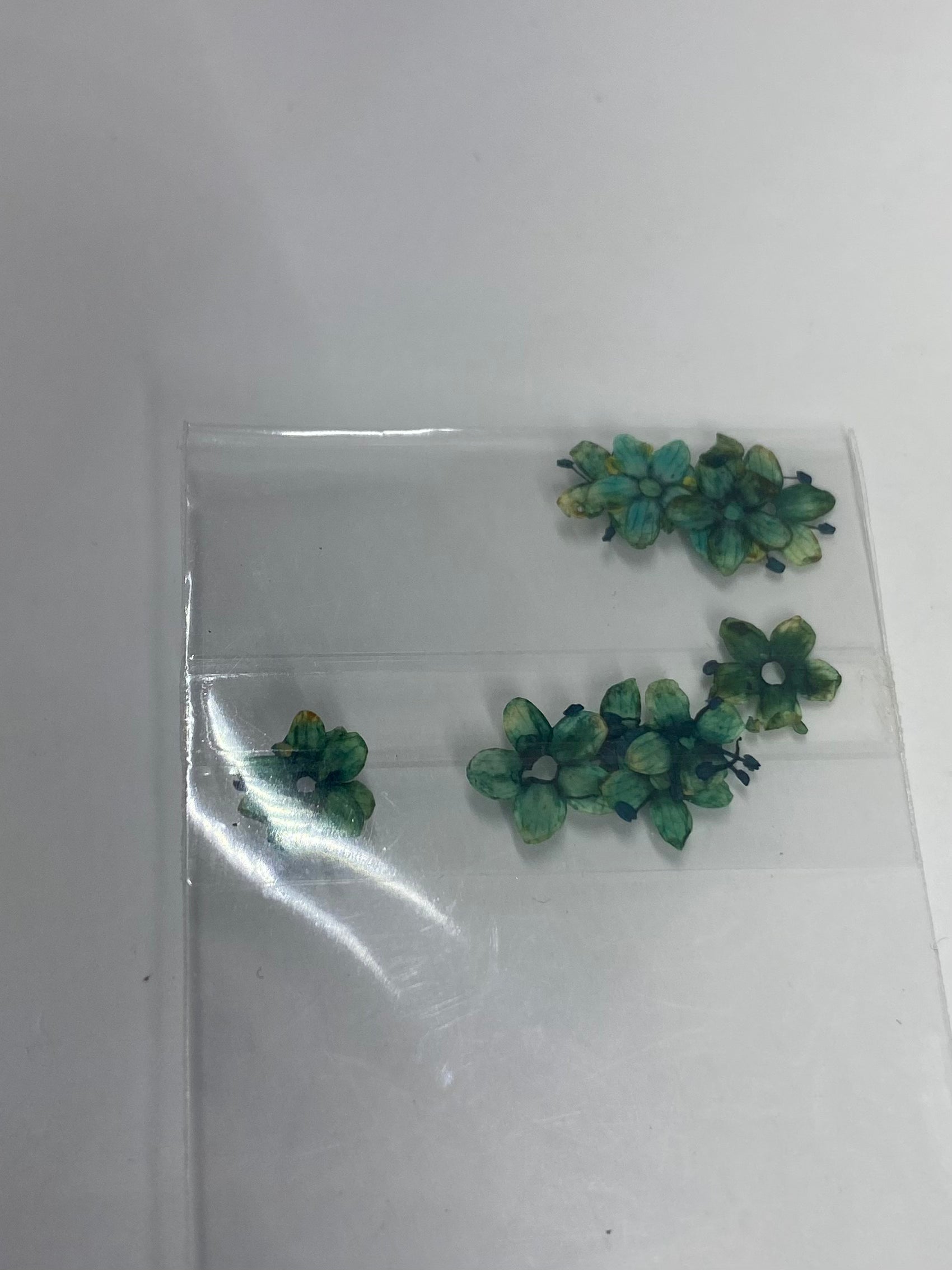 Dry Flowers | Set of 53 Colors