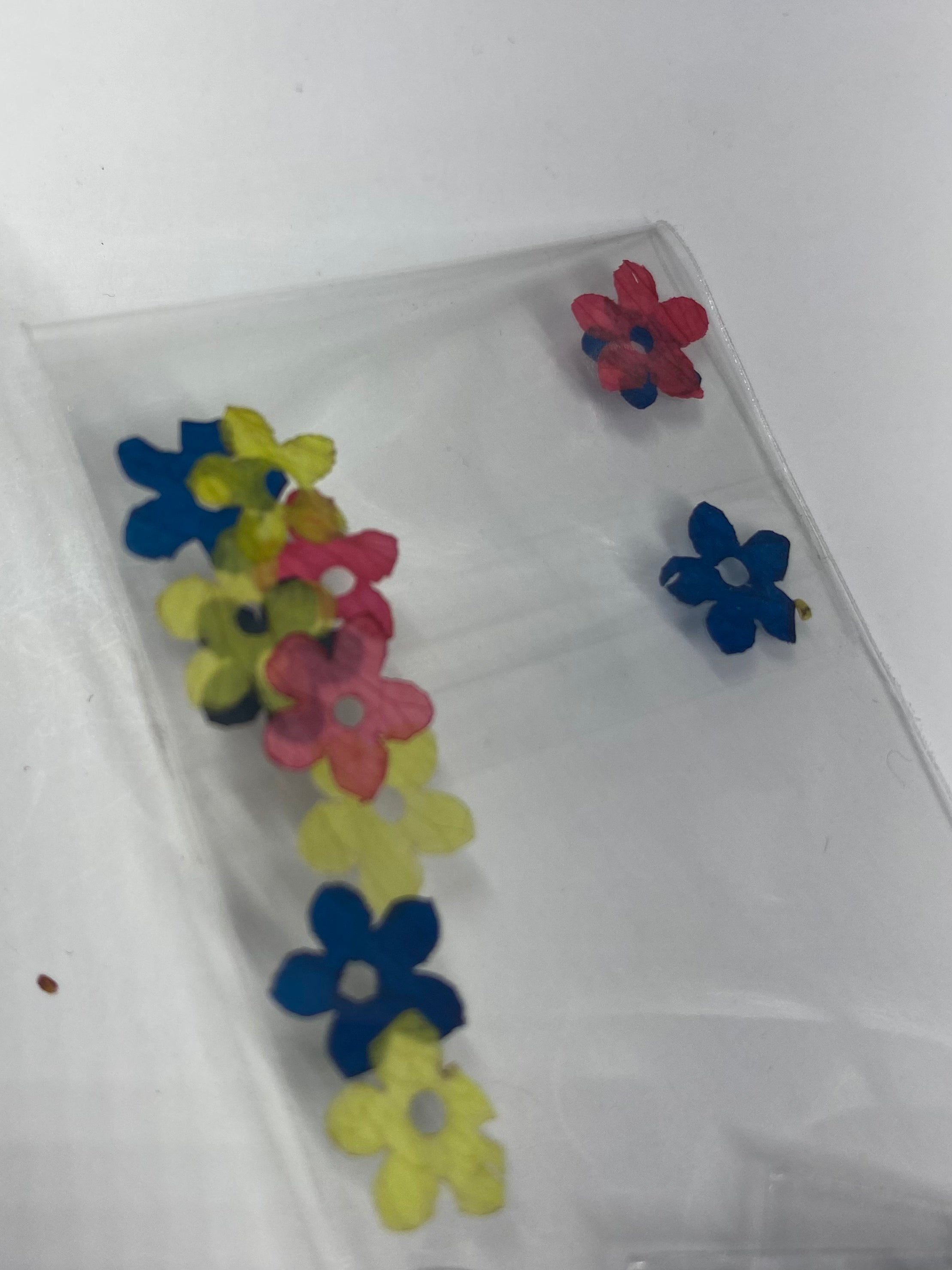 Dry Flowers | Set of 53 Colors