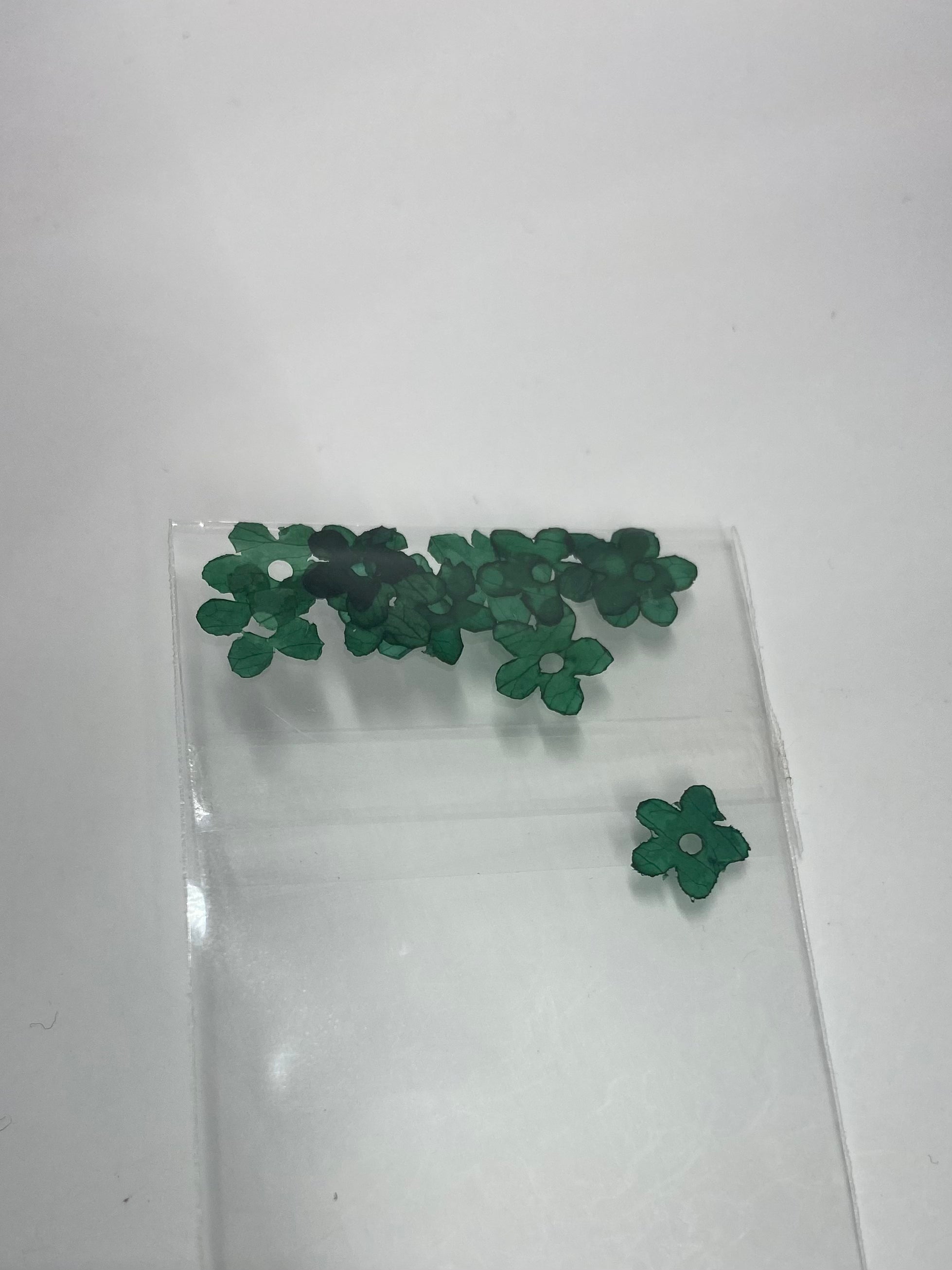 Dry Flowers | Set of 53 Colors
