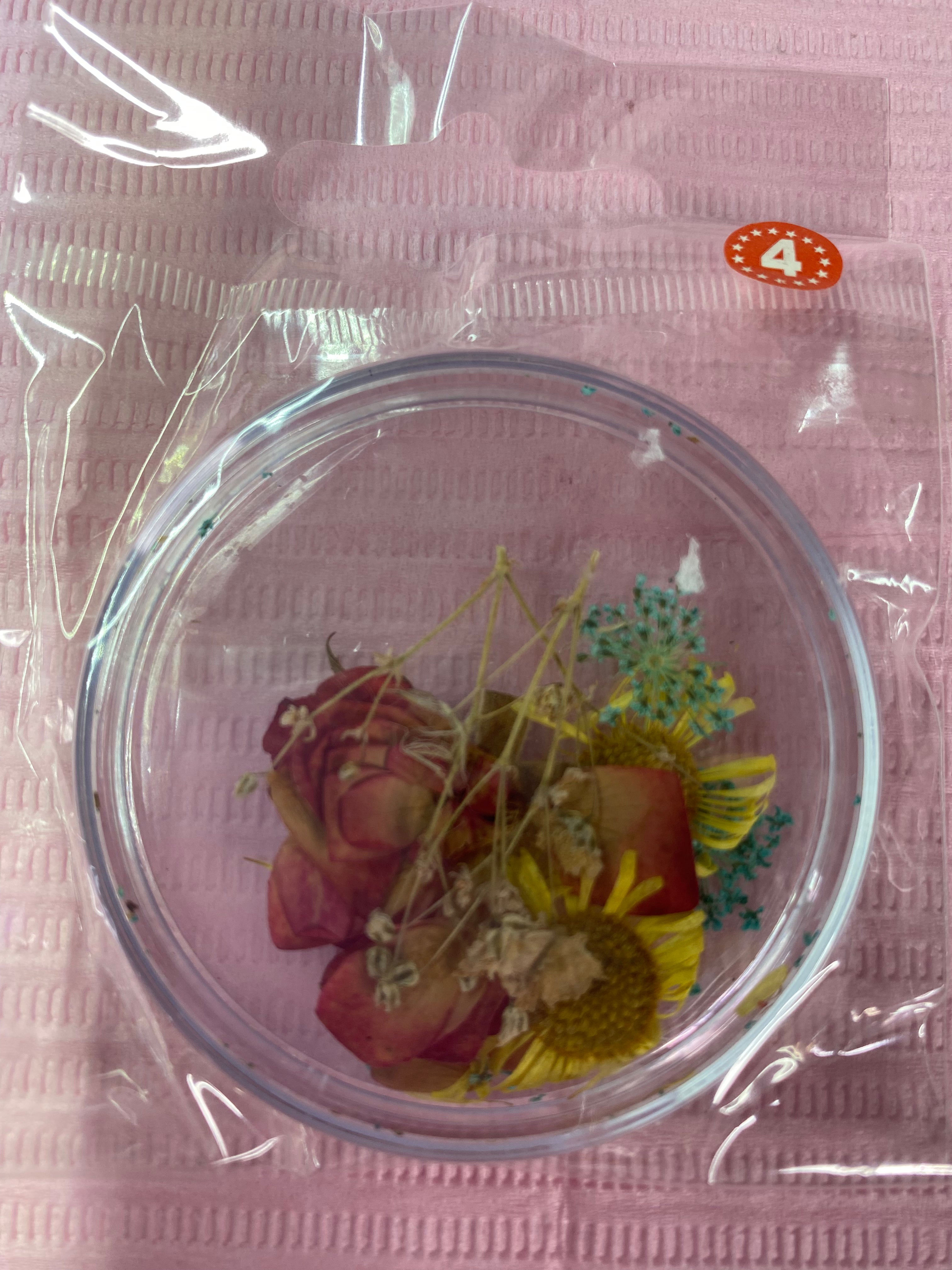 Dry Flowers | Set of 53 Colors