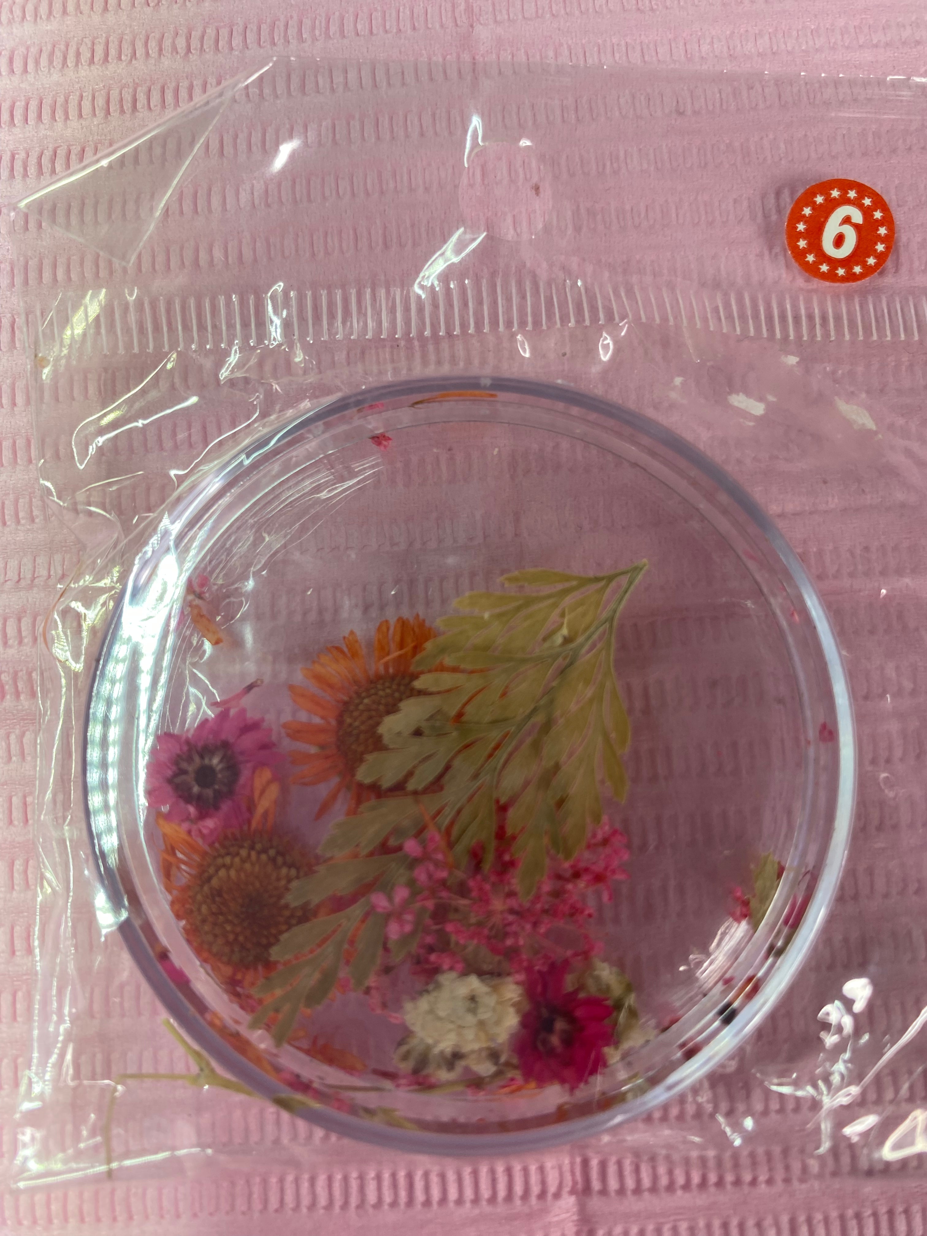 Dry Flowers | Set of 53 Colors