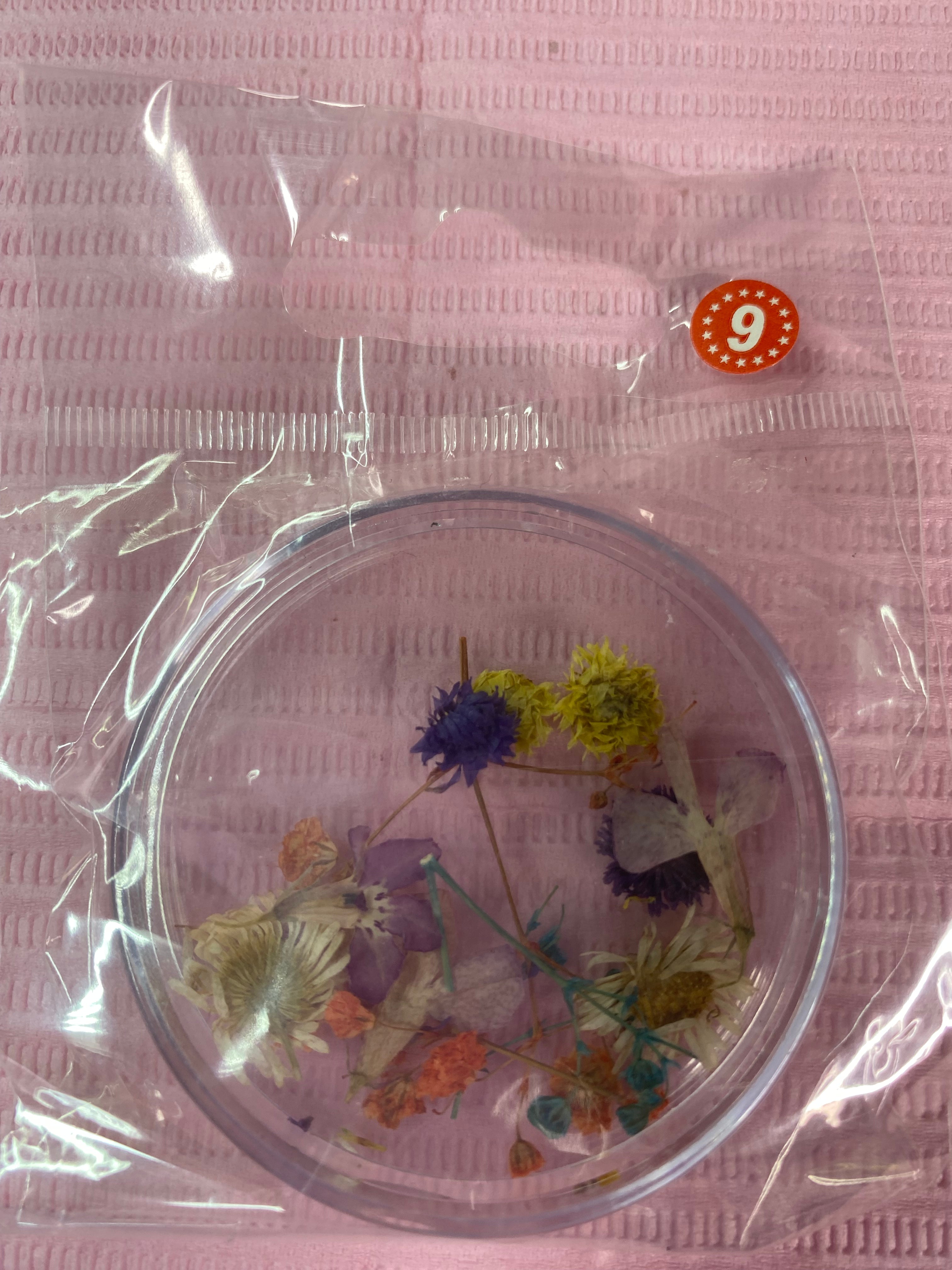 Dry Flowers | Set of 53 Colors
