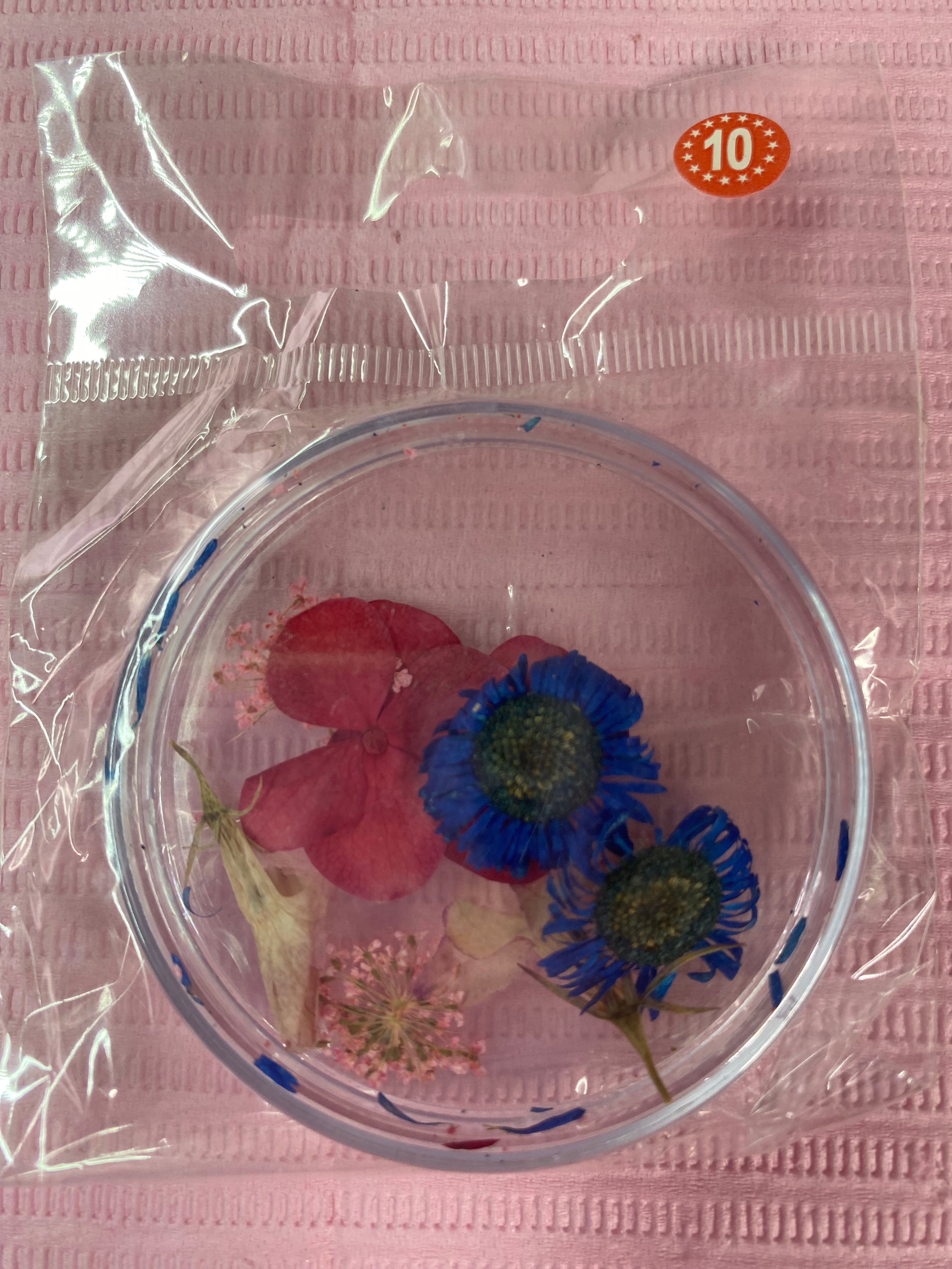 Dry Flowers | Set of 53 Colors