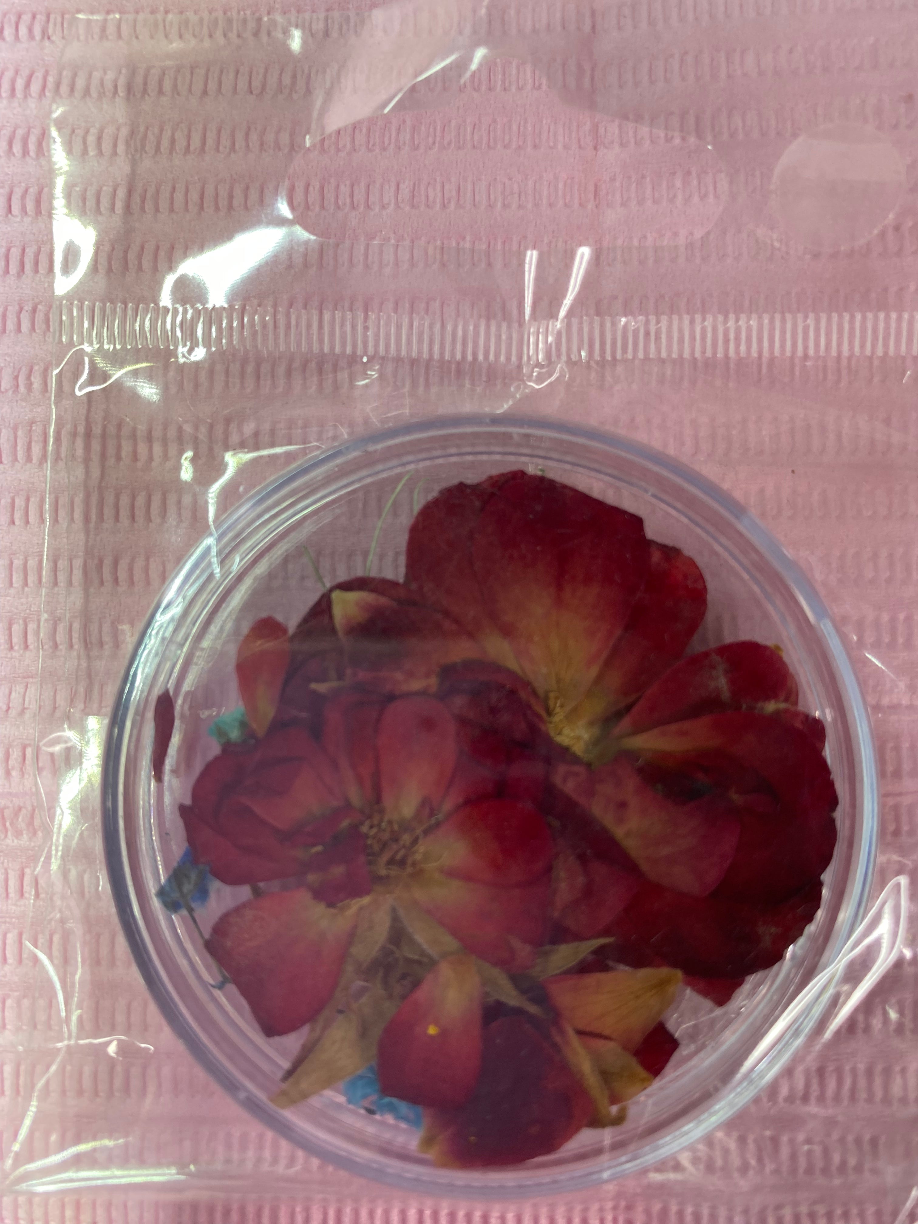 Dry Flowers | Set of 53 Colors