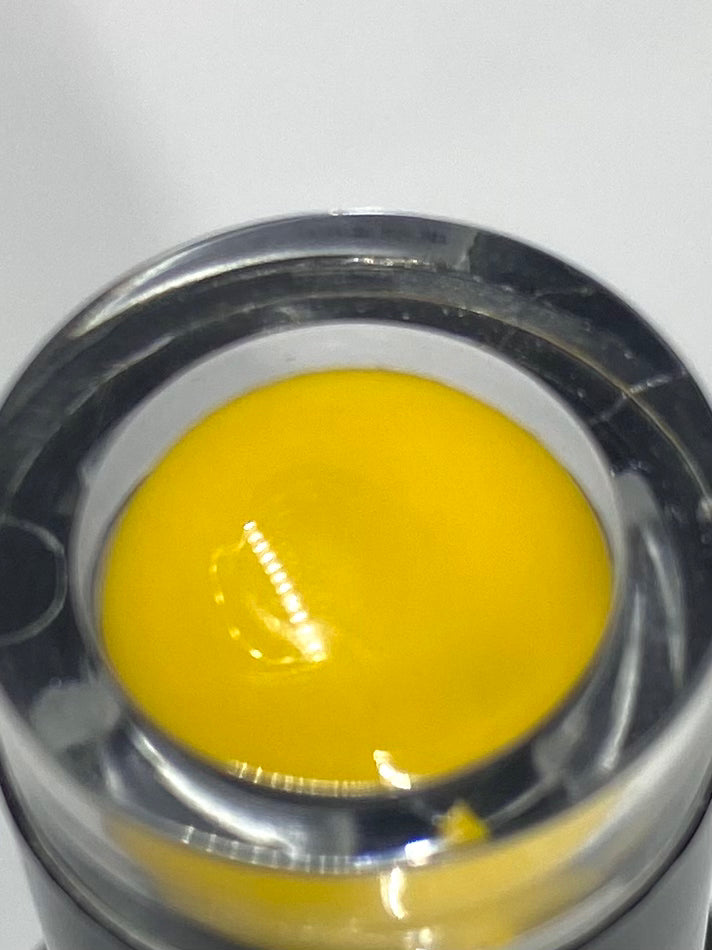 #81 DAYLIGHT .5floz PNT Gel polish collection