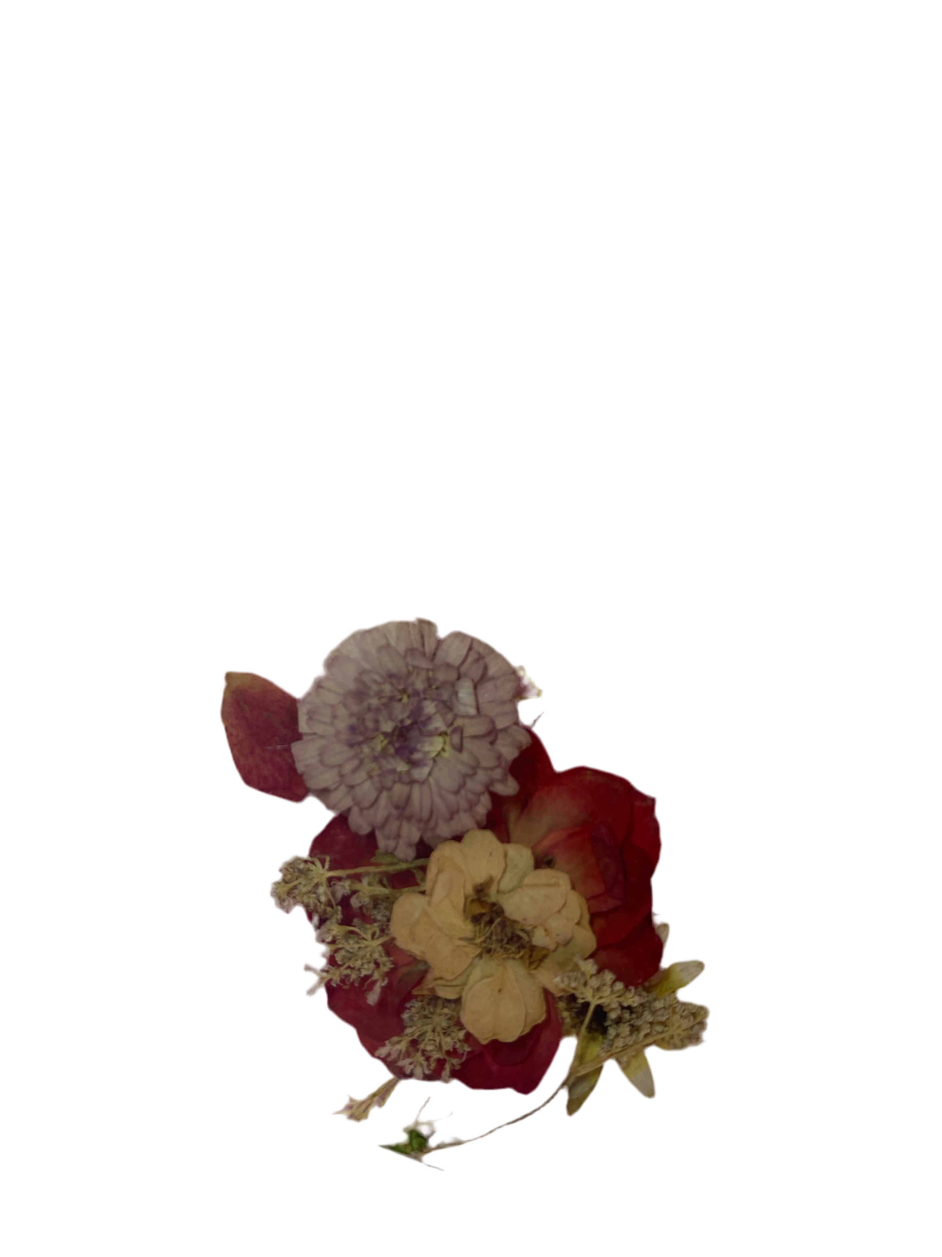 Dry Flowers | Set of 53 Colors
