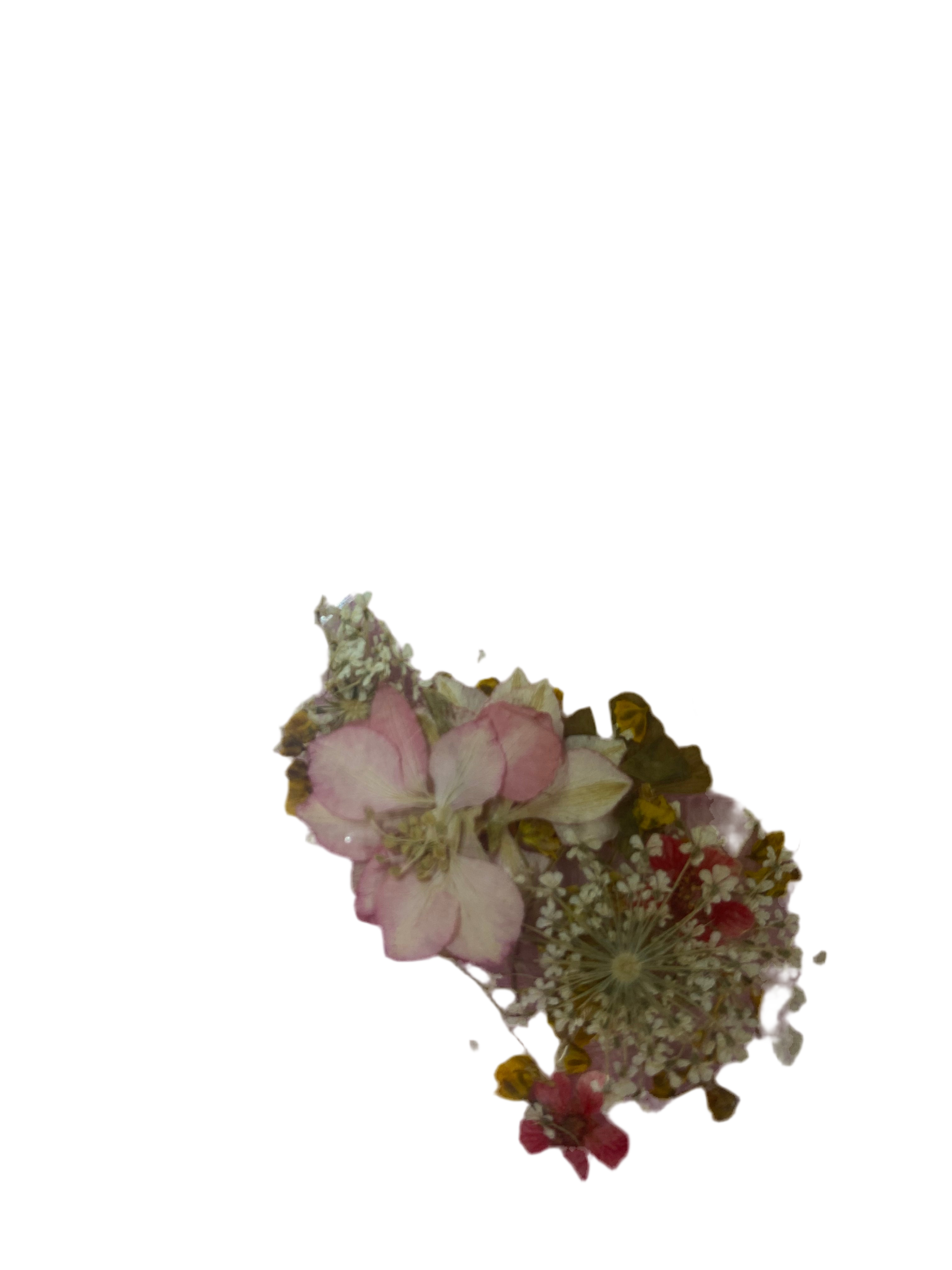 Dry Flowers | Set of 53 Colors