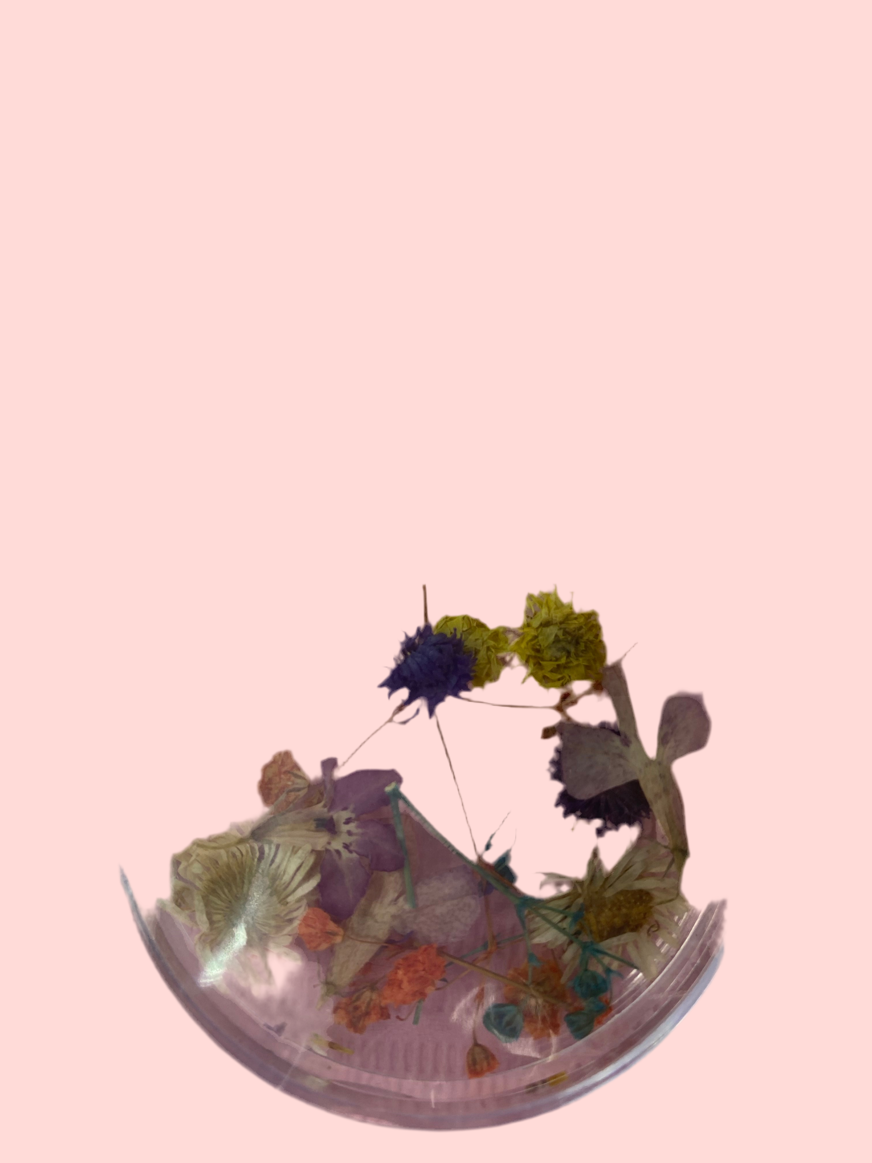 Dry Flowers | Set of 53 Colors