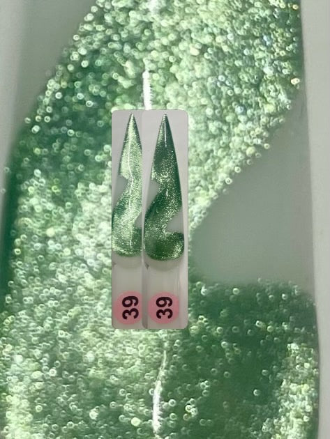 Paris nailtown 10D cat eye gel collection 36 colors