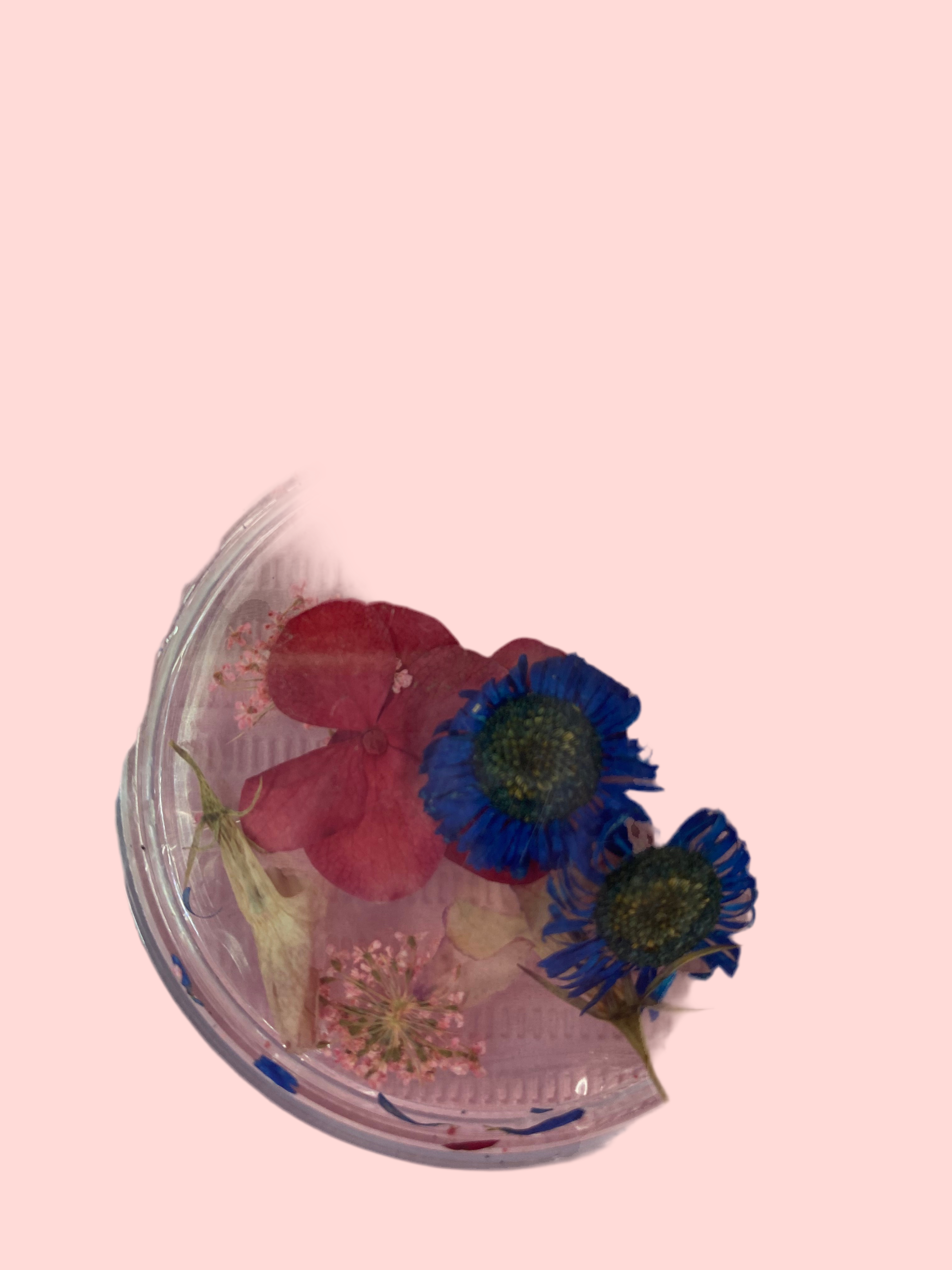 Dry Flowers | Set of 53 Colors