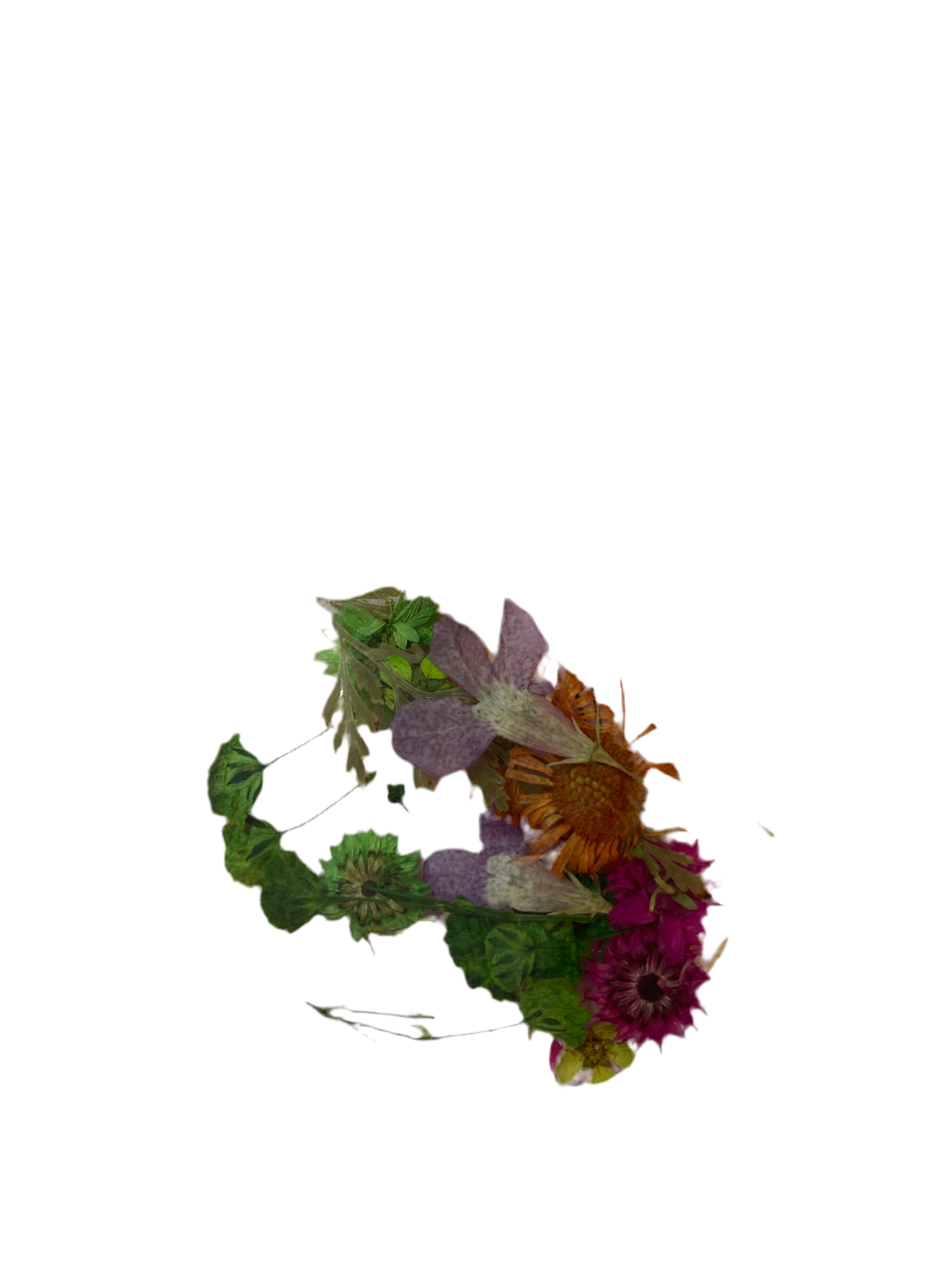 Dry Flowers | Set of 53 Colors