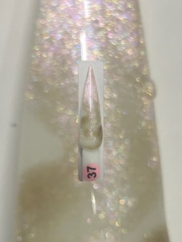 Paris nailtown 10D cat eye gel collection 36 colors