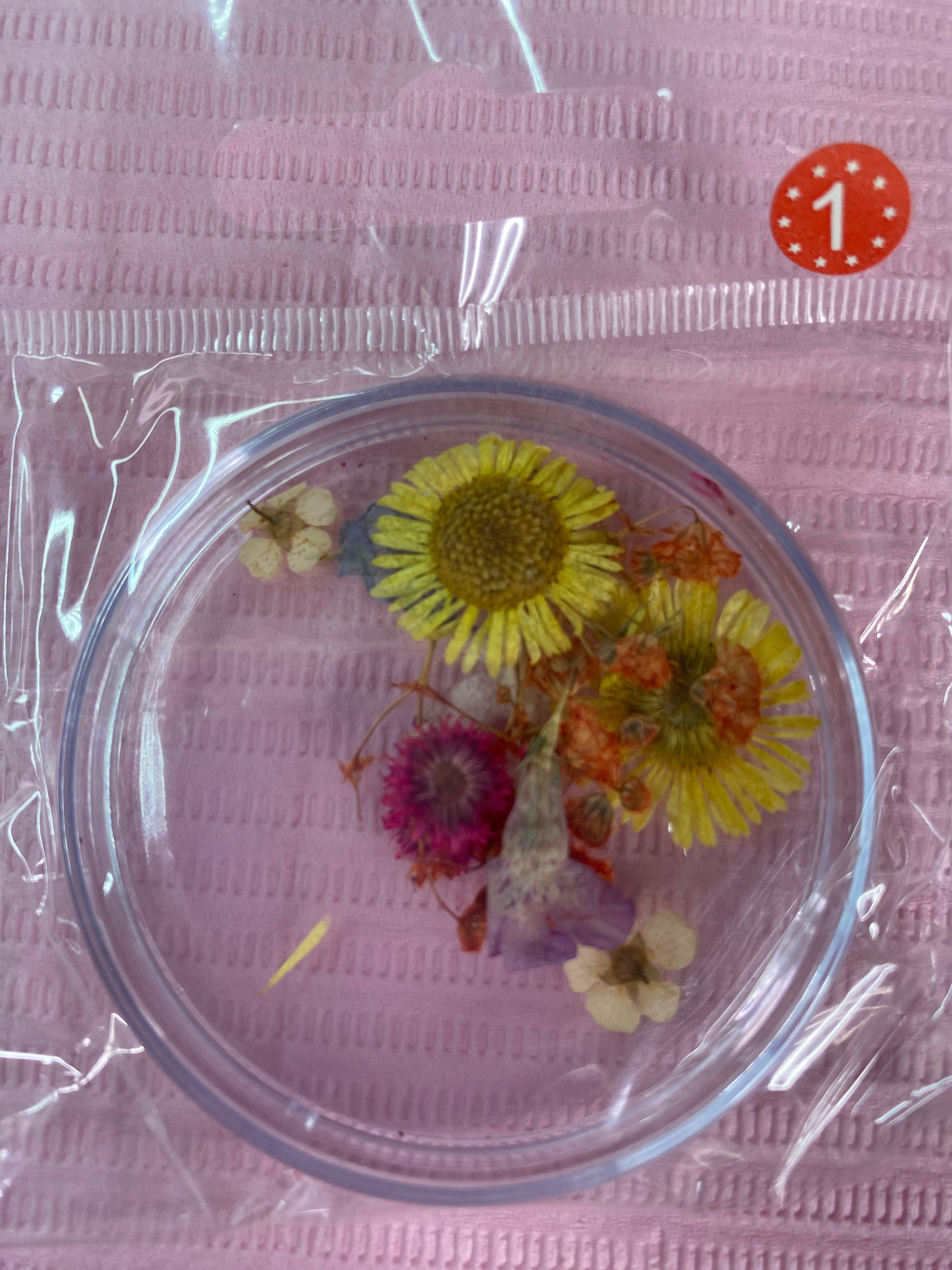 Dry Flowers | Set of 53 Colors
