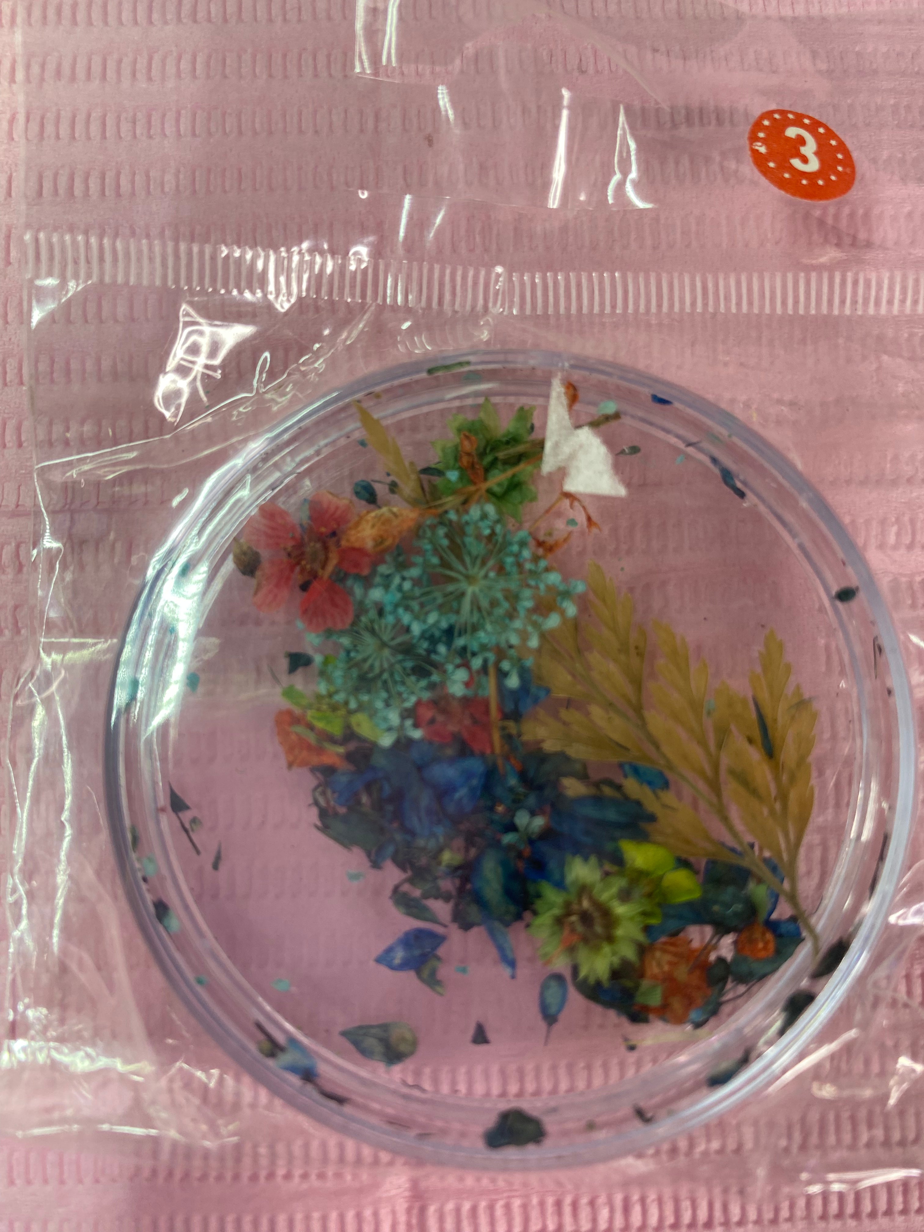 Dry Flowers | Set of 53 Colors