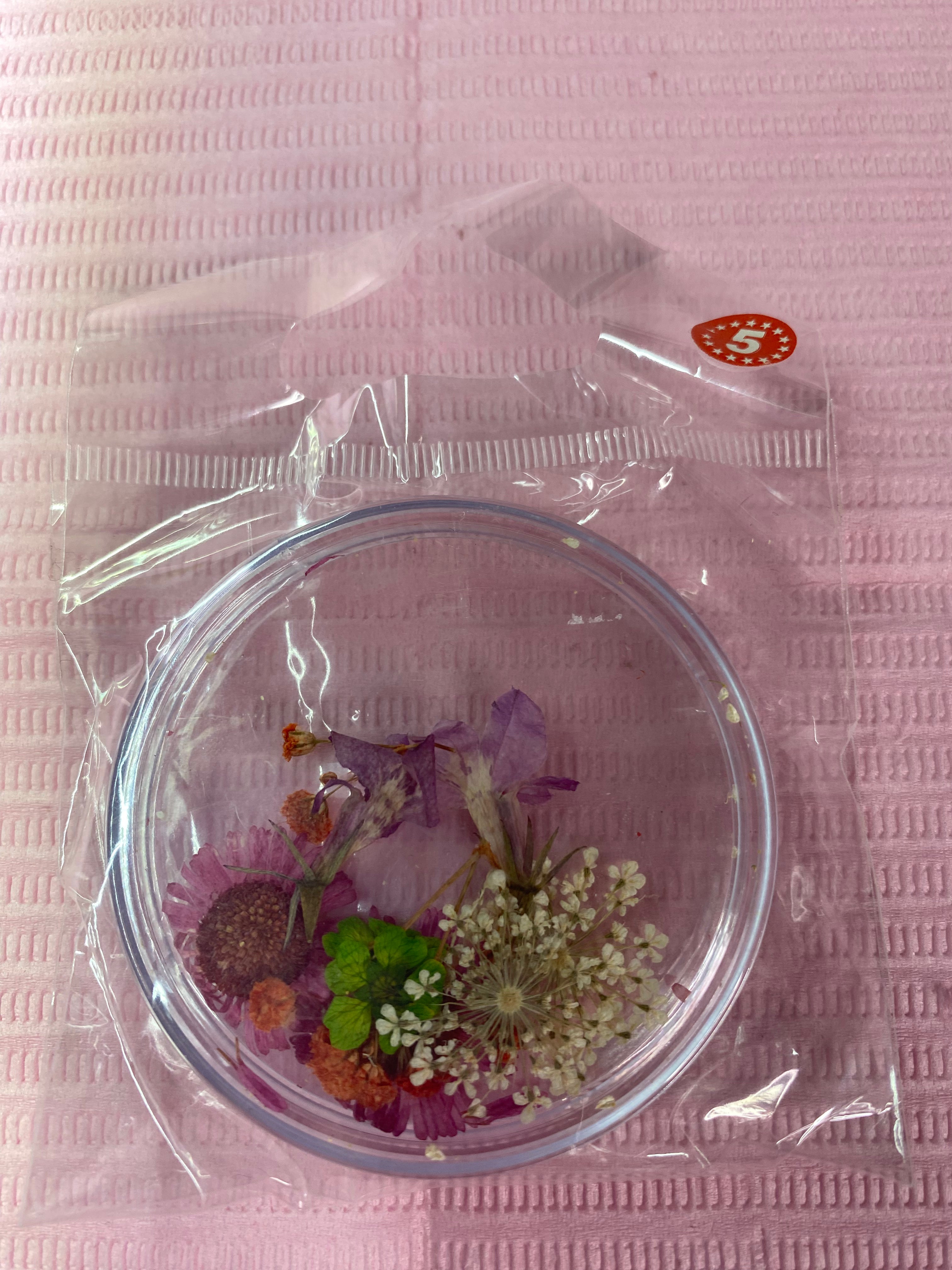 Dry Flowers | Set of 53 Colors
