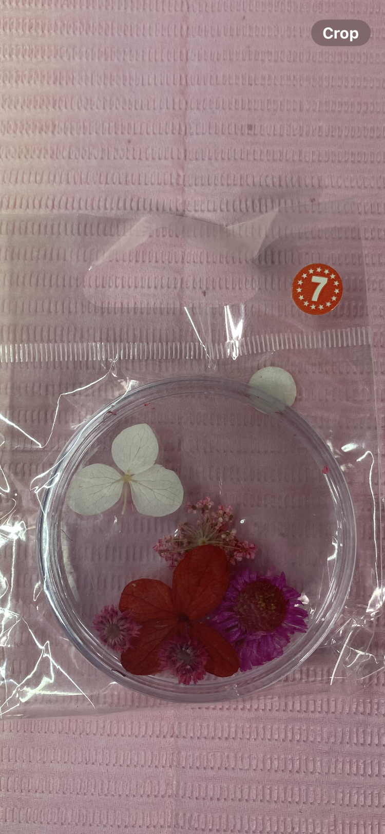 Dry Flowers | Set of 53 Colors