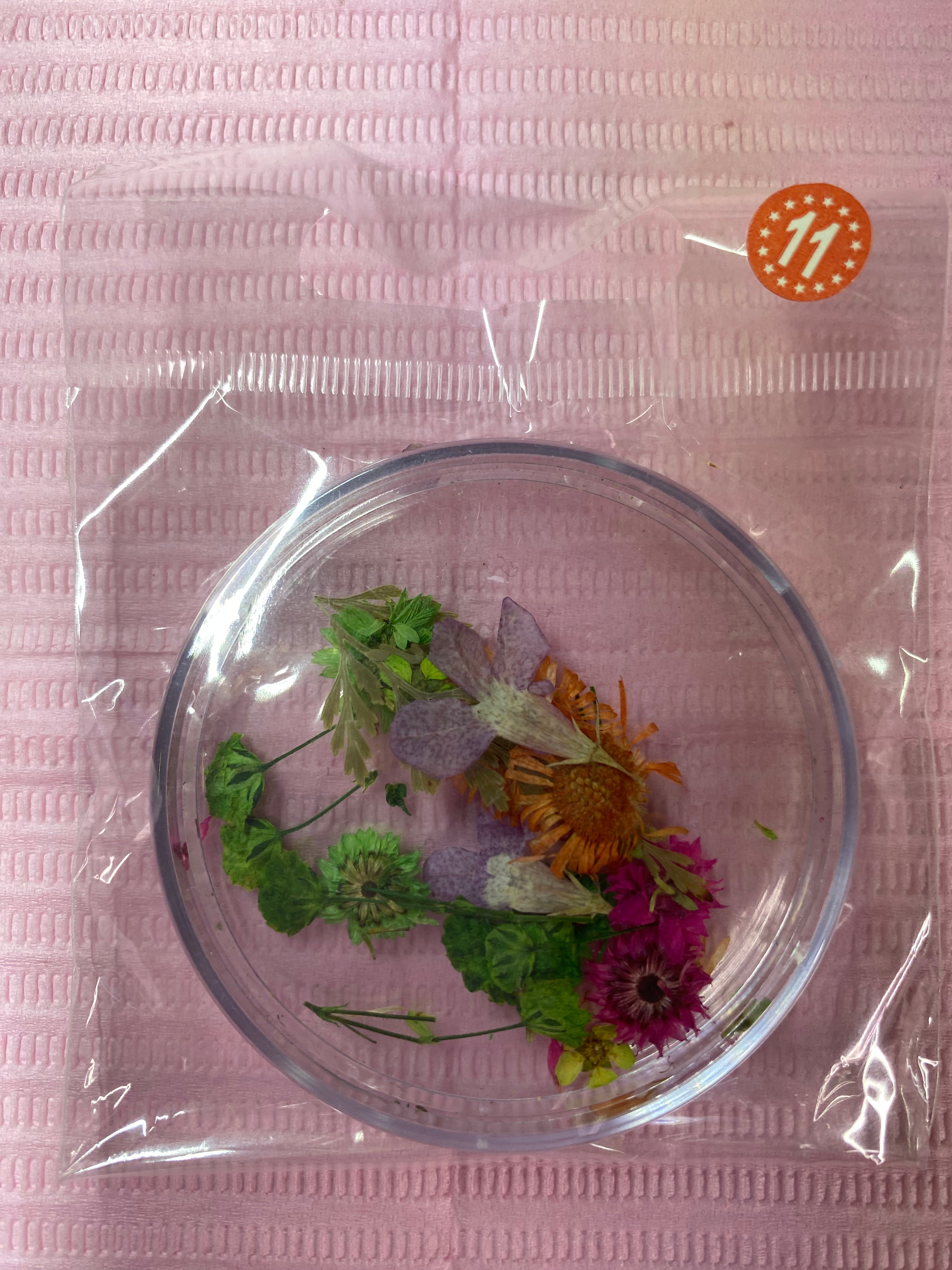 Dry Flowers | Set of 53 Colors
