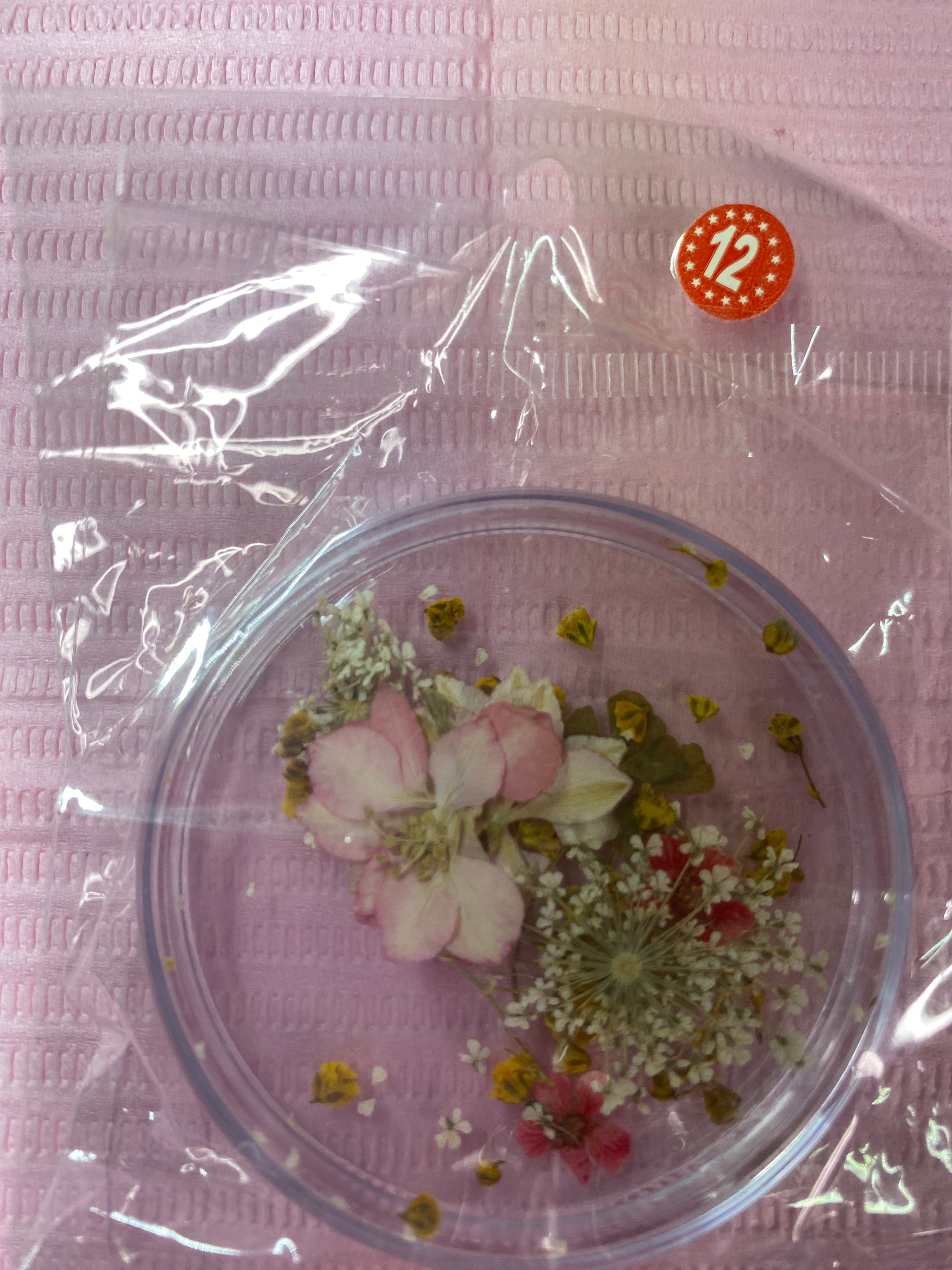 Dry Flowers | Set of 53 Colors