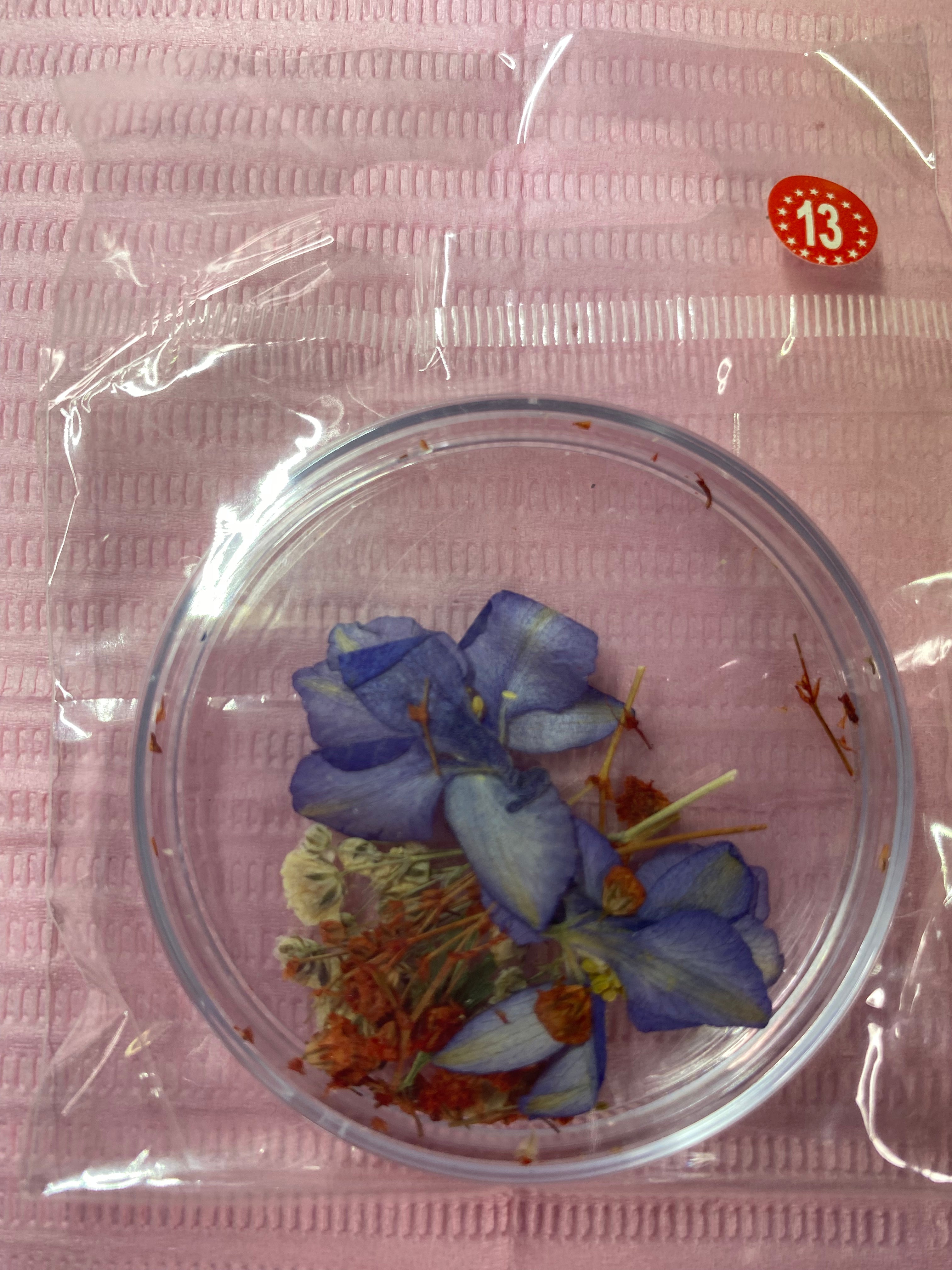 Dry Flowers | Set of 53 Colors