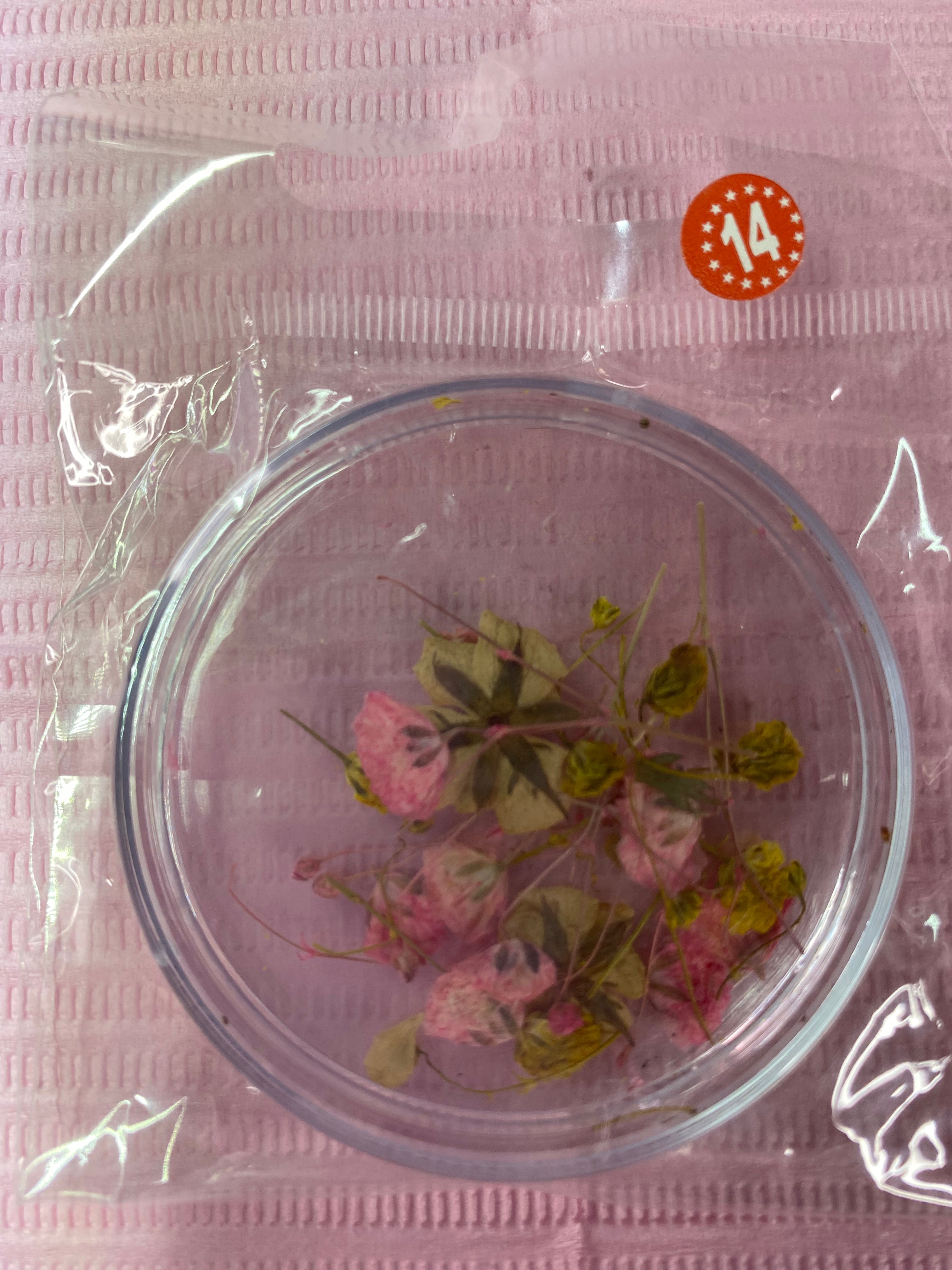 Dry Flowers | Set of 53 Colors