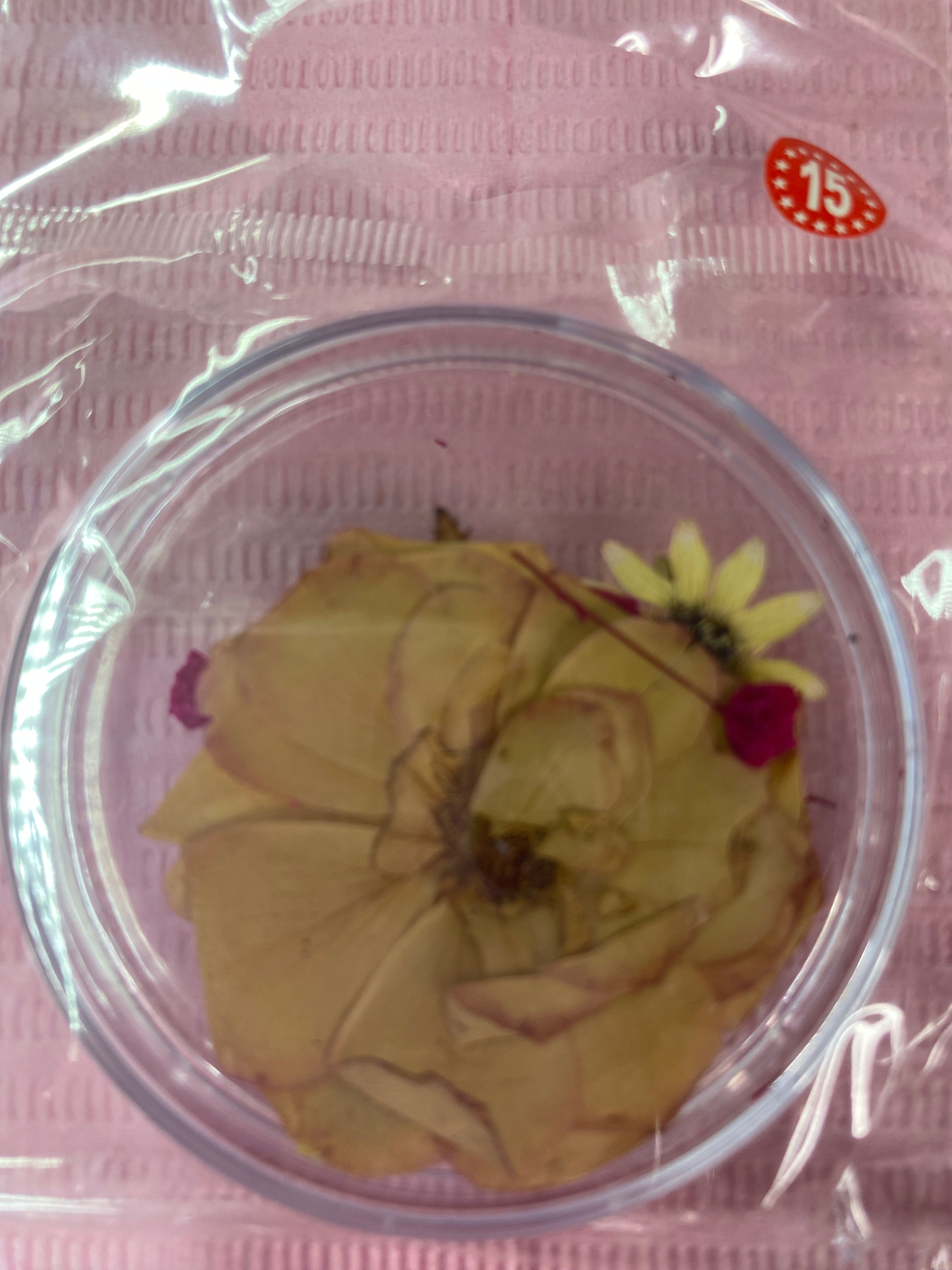 Dry Flowers | Set of 53 Colors