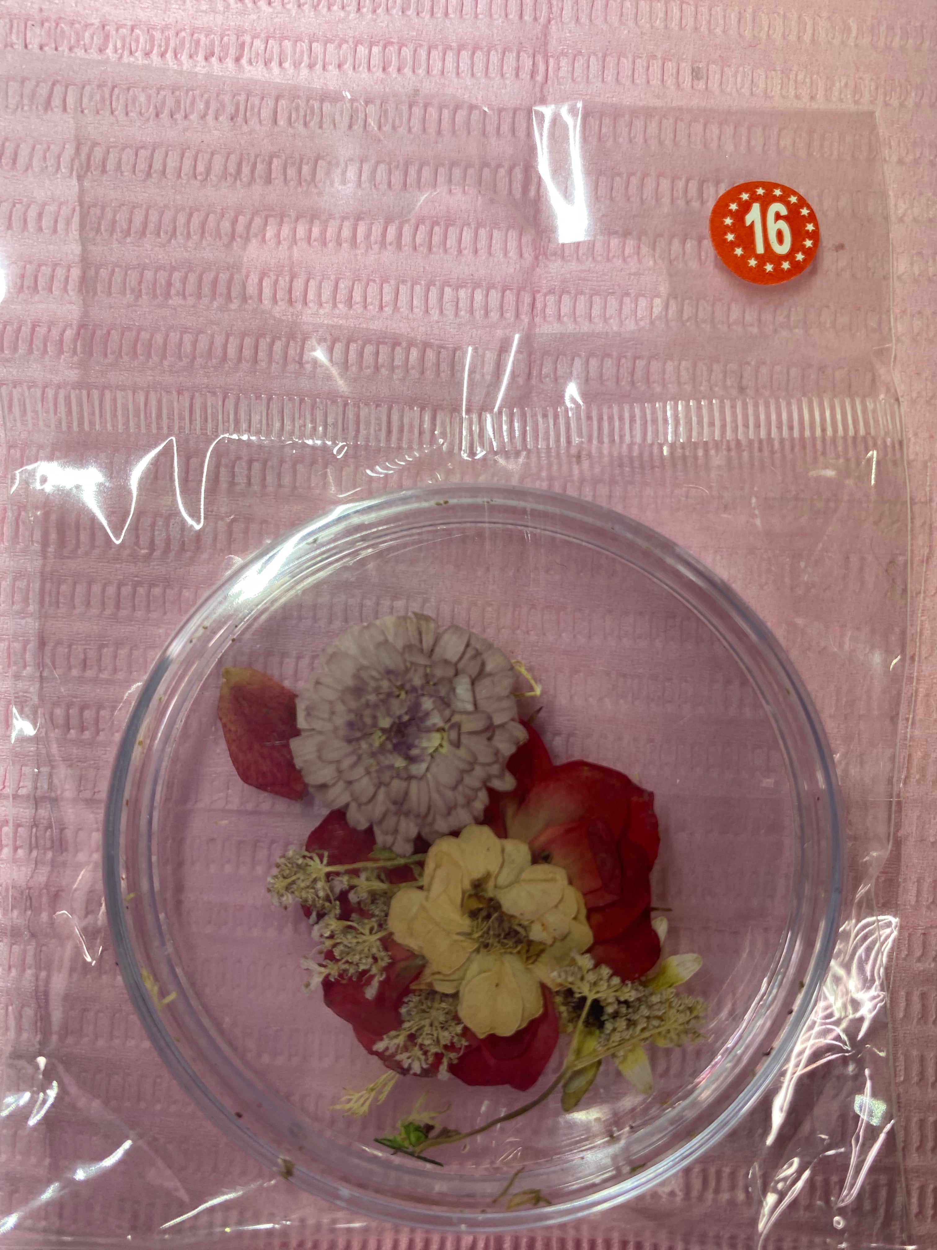 Dry Flowers | Set of 53 Colors