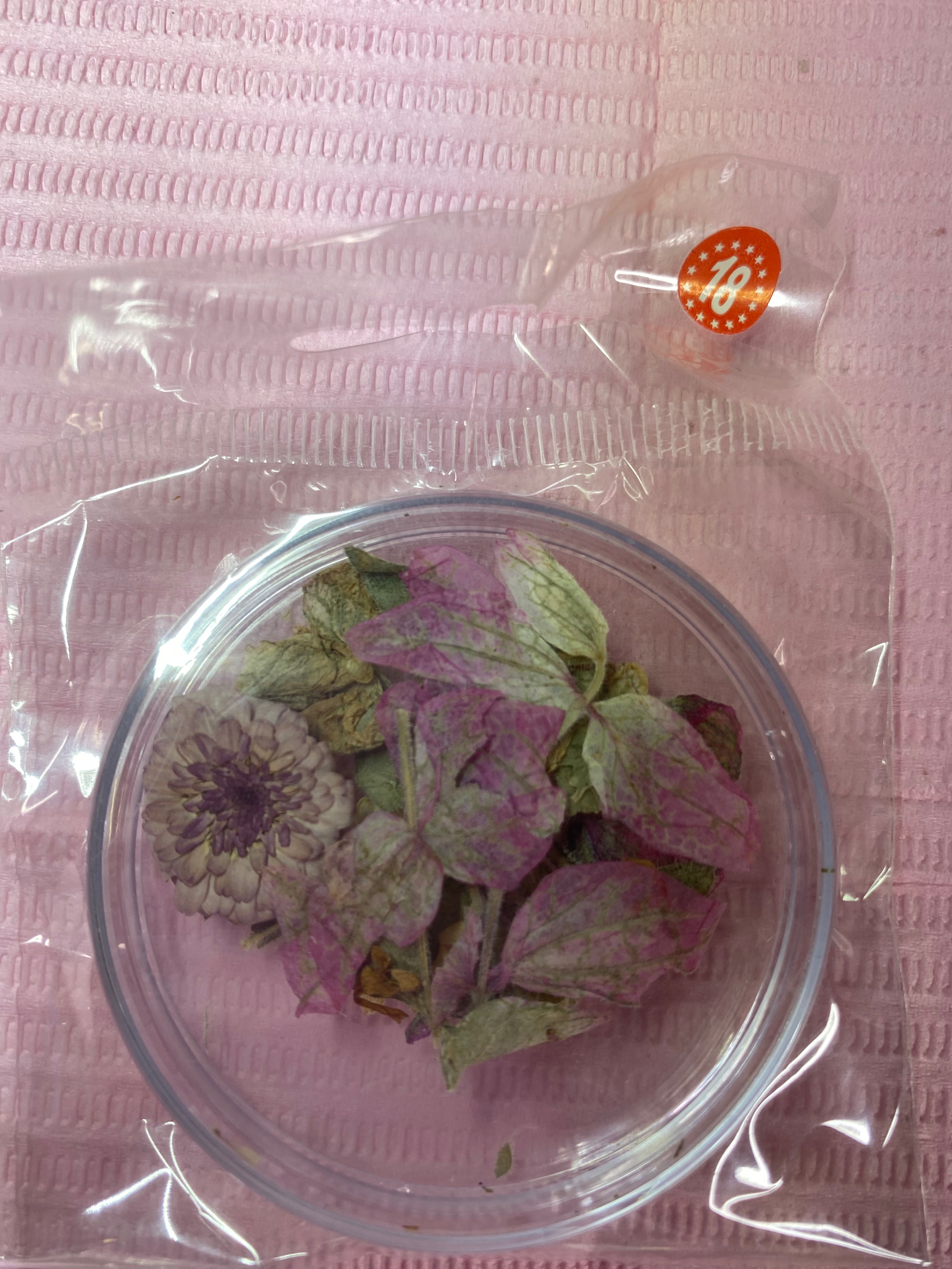 Dry Flowers | Set of 53 Colors