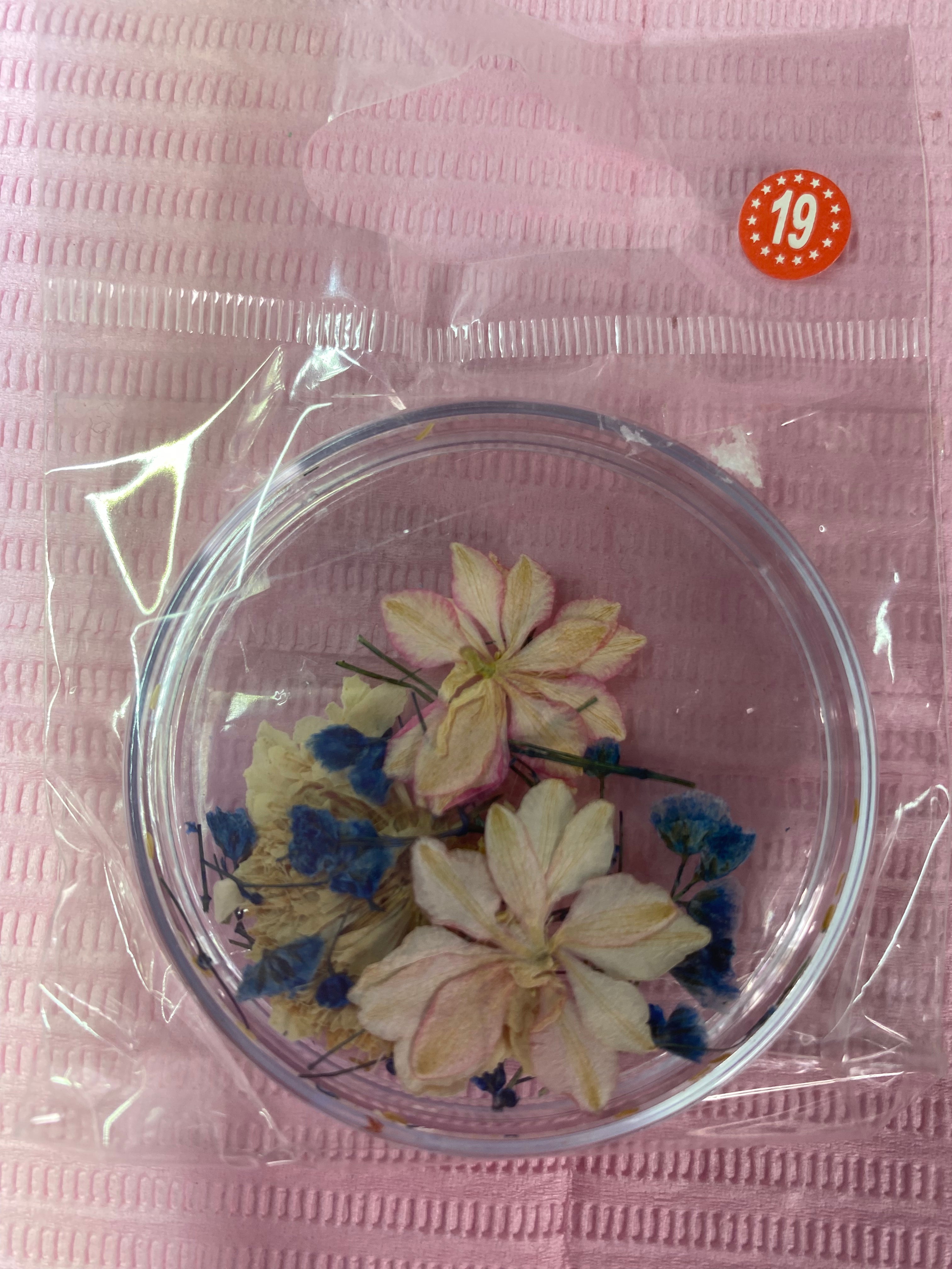 Dry Flowers | Set of 53 Colors