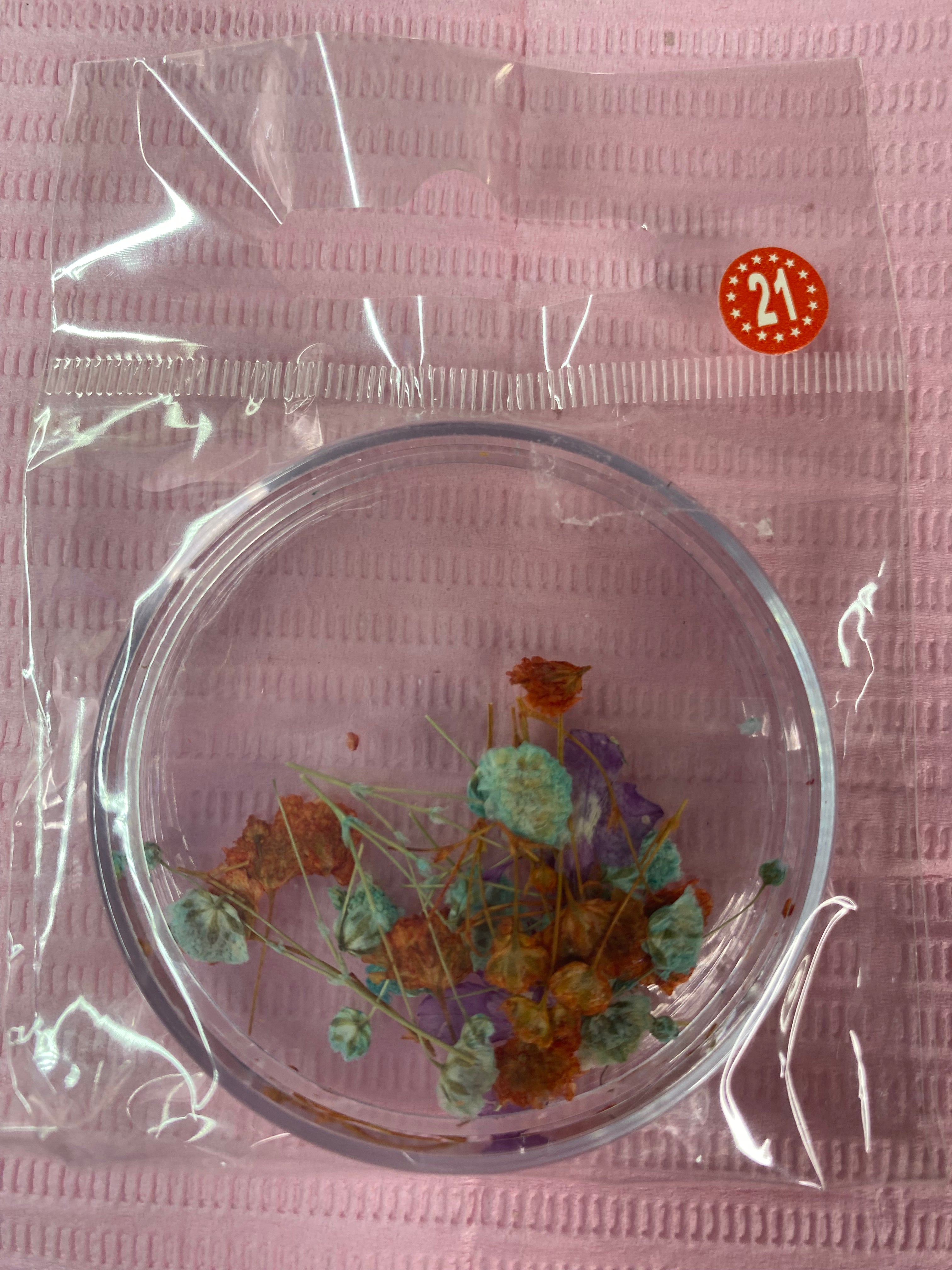 Dry Flowers | Set of 53 Colors
