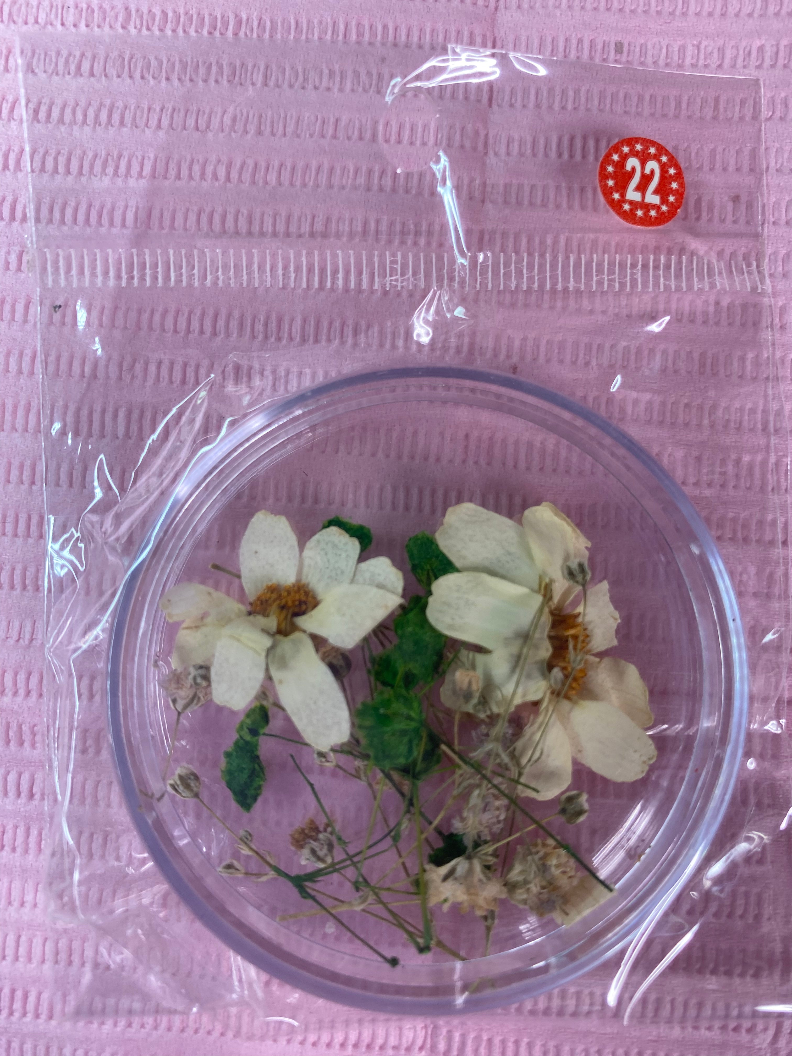 Dry Flowers | Set of 53 Colors
