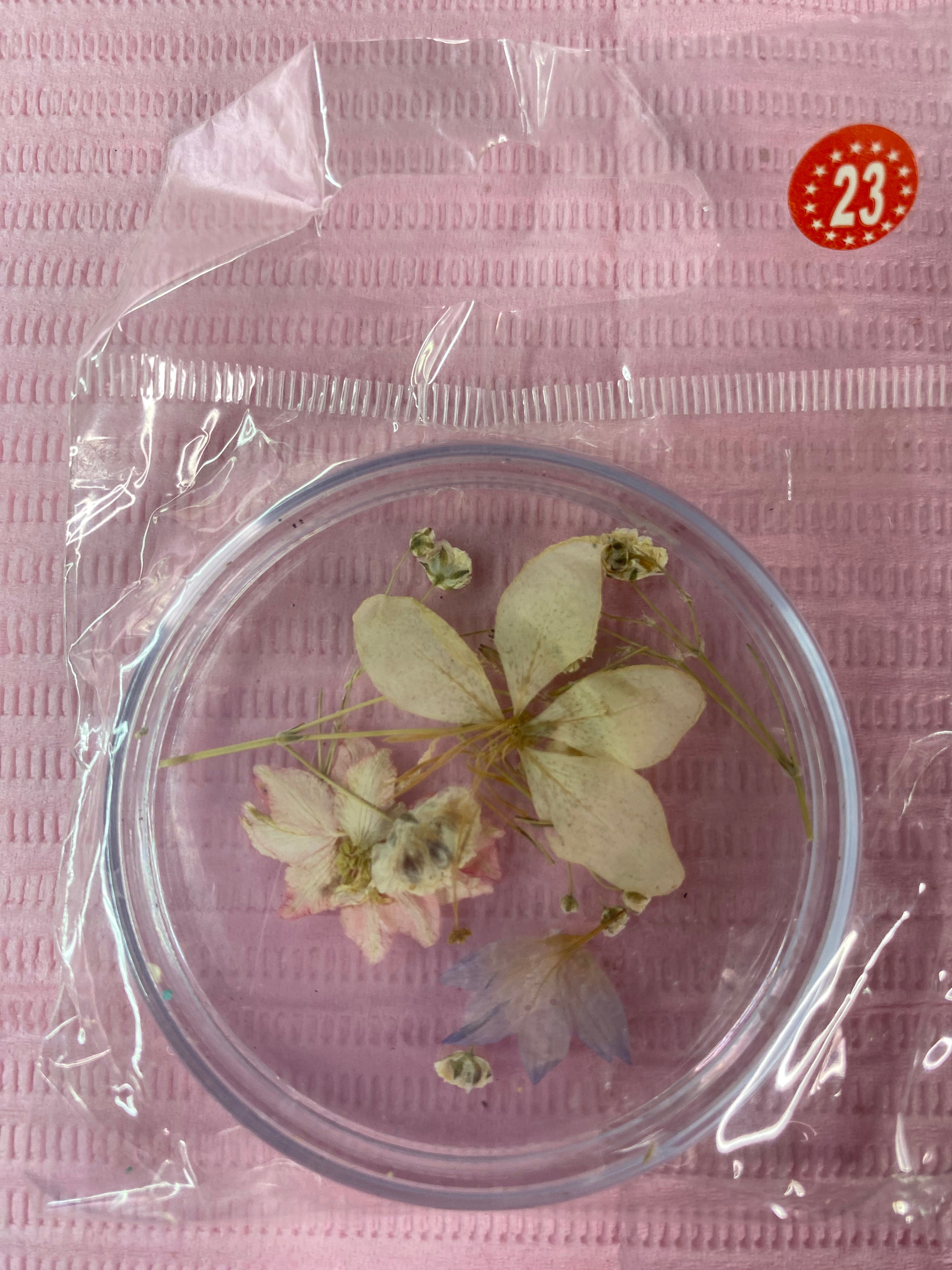 Dry Flowers | Set of 53 Colors
