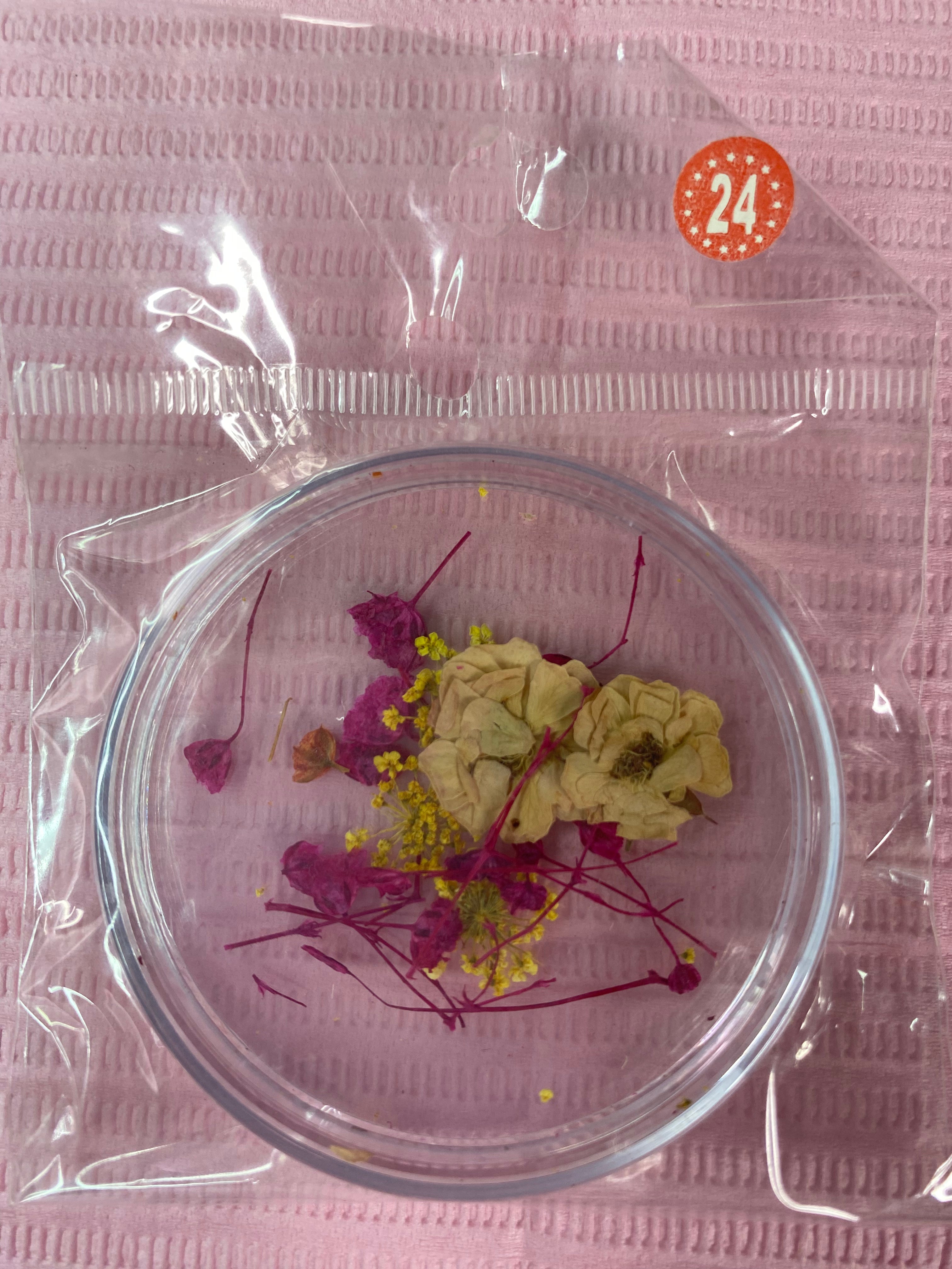 Dry Flowers | Set of 53 Colors