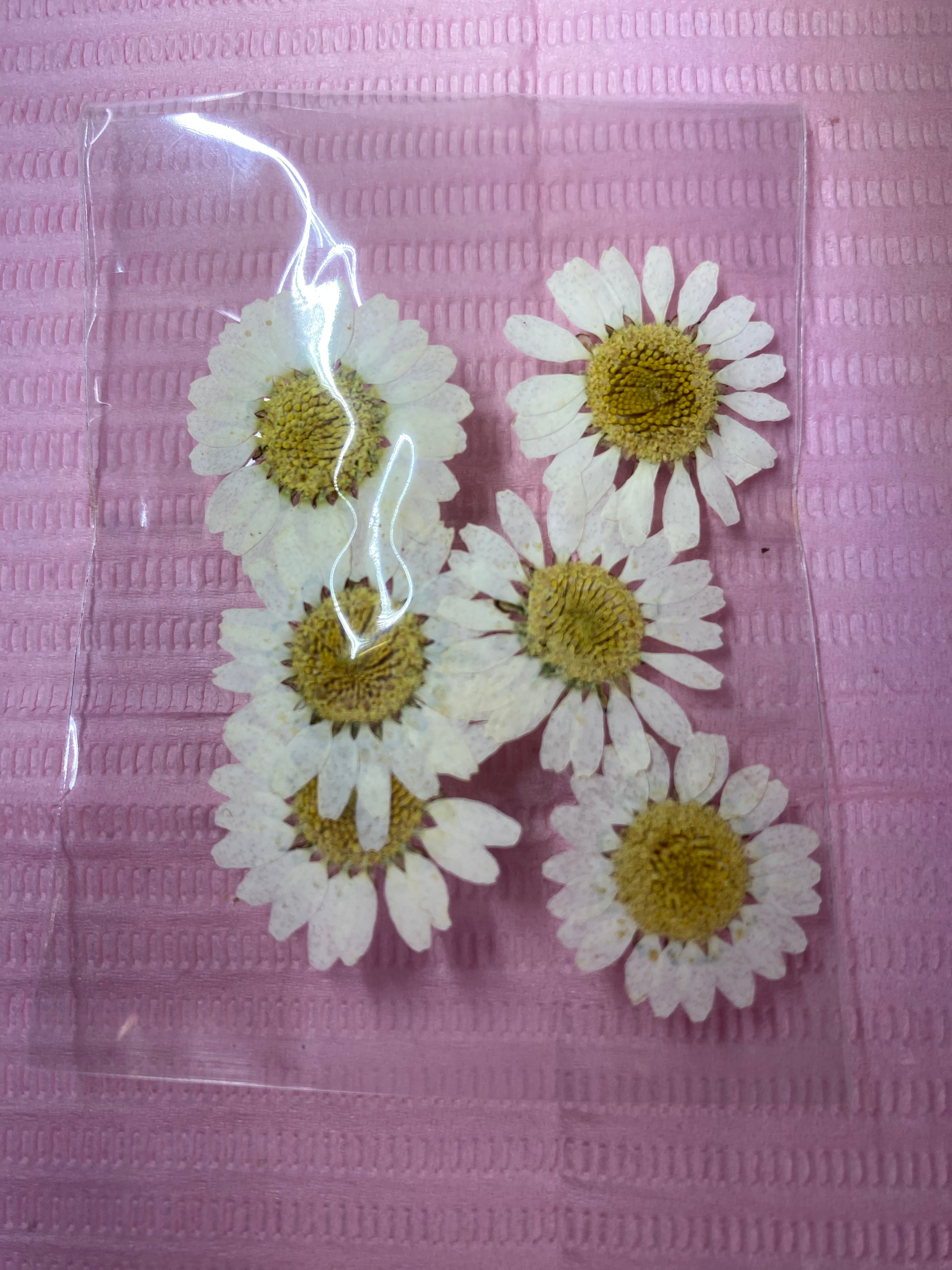 Dry Flowers | Set of 53 Colors