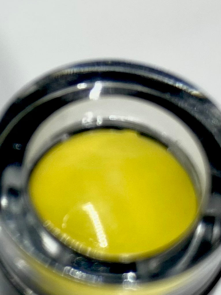 #80 DANDELEON .5floz PNT Gel polish collection